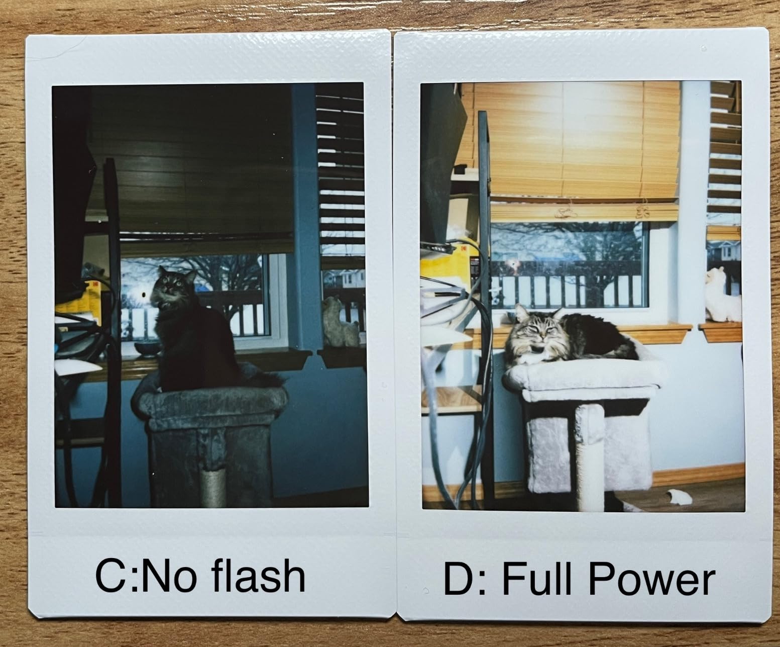 Godox Lux Junior Flash for Canon/Sony/Fujifilm/Nikon/Panasonic/Olympus, GN12 with 7 Levels Flash Power, S1/S2 Optical Control - Customer Photo 1