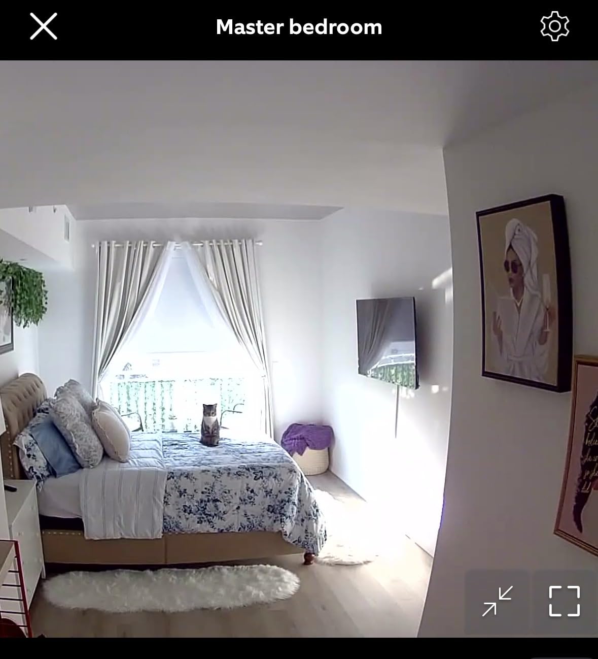 Ring Indoor Cam, Home or business security in 1080p HD video, White customer photo 1