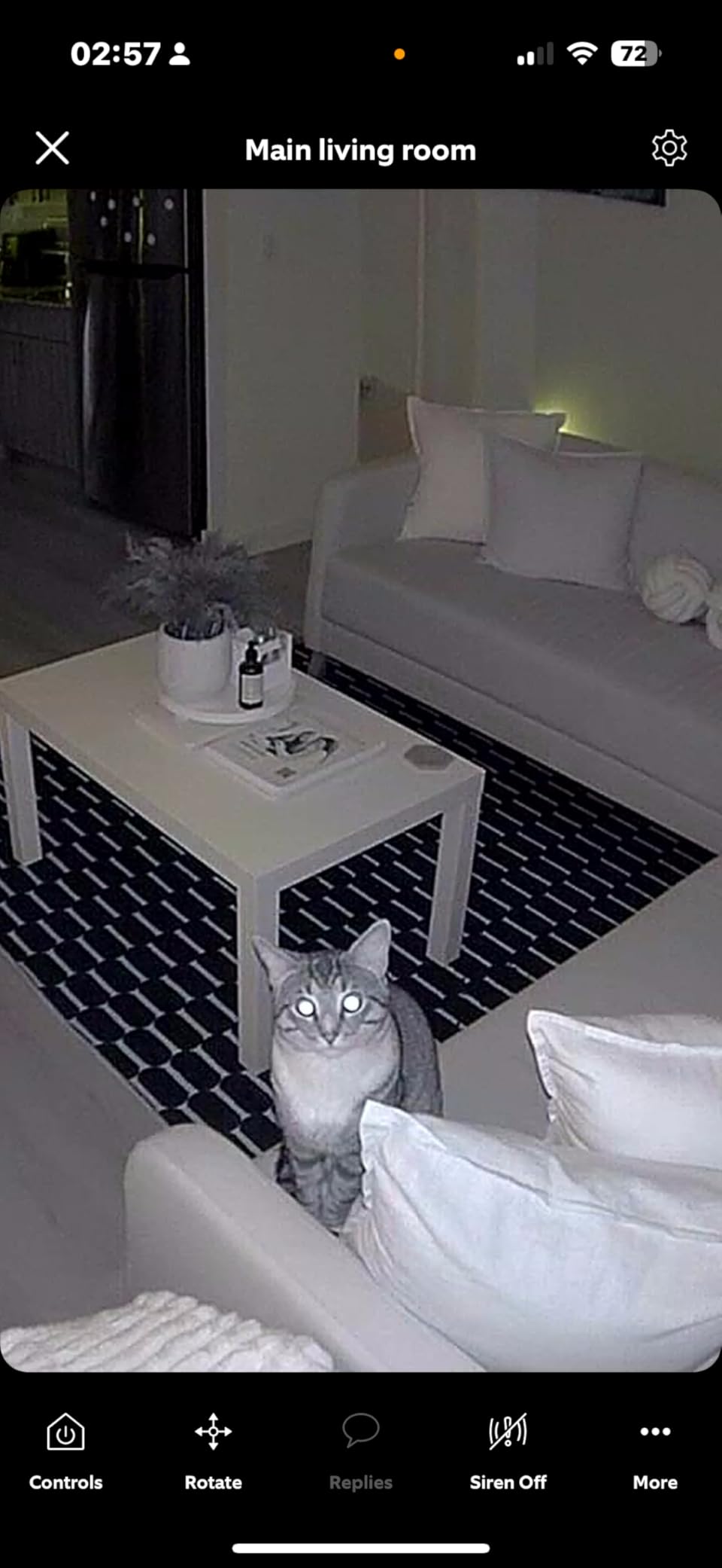 Ring Indoor Cam, Home or business security in 1080p HD video, White customer photo 2