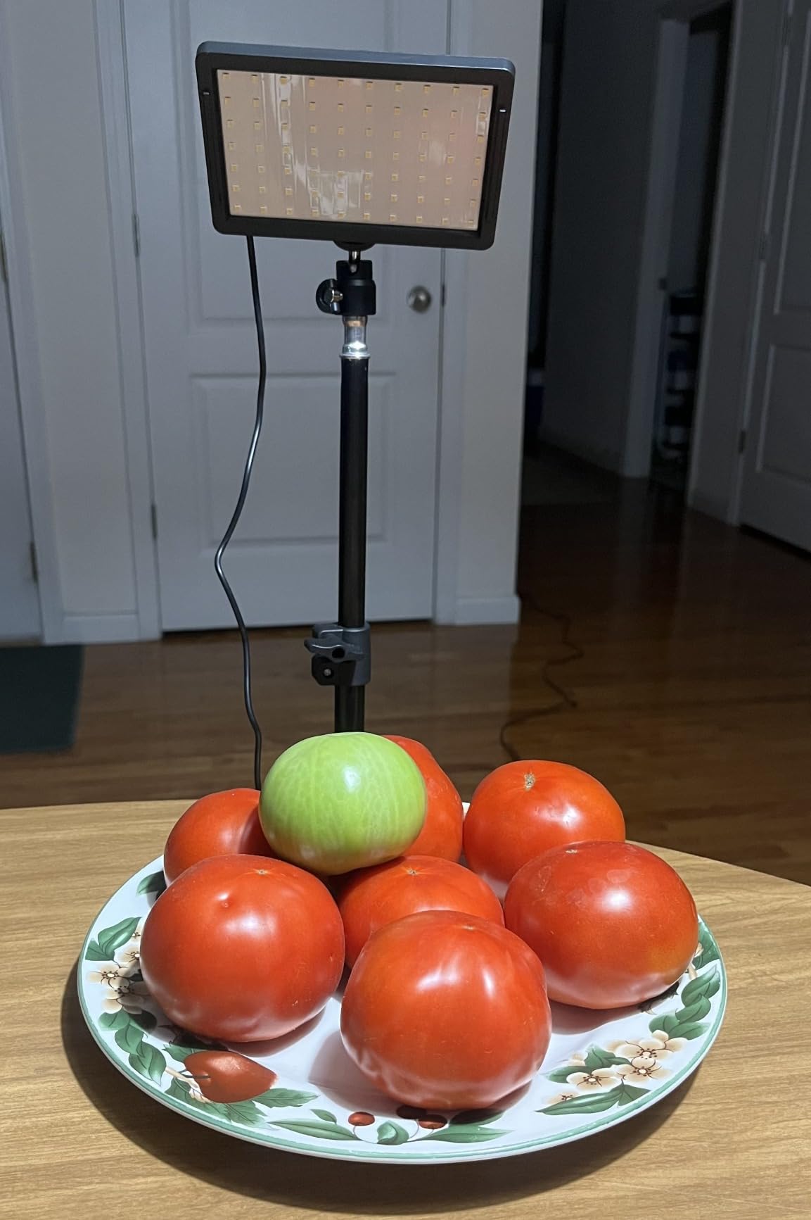 Photography Lighting Kit Dimmable 5600K USB Led Video Studio Streaming Lights with Adjustable Tripod Stand and Color Filters for Table Top/Photo Video Shooting - Customer Photo 1