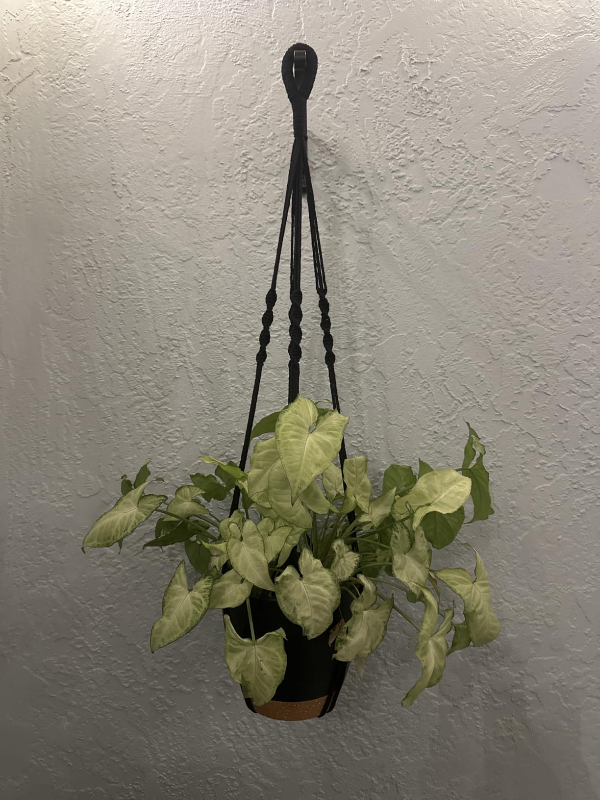 Bouqlife 3 Sets Hanging Planters for Indoor Plants with Self-Watering Hanging Pots and Macrame Plant Hangers, Outdoor Hanging Flower Pots with Drainage 3 Different Size for Home Patio Boho Decor customer photo 1