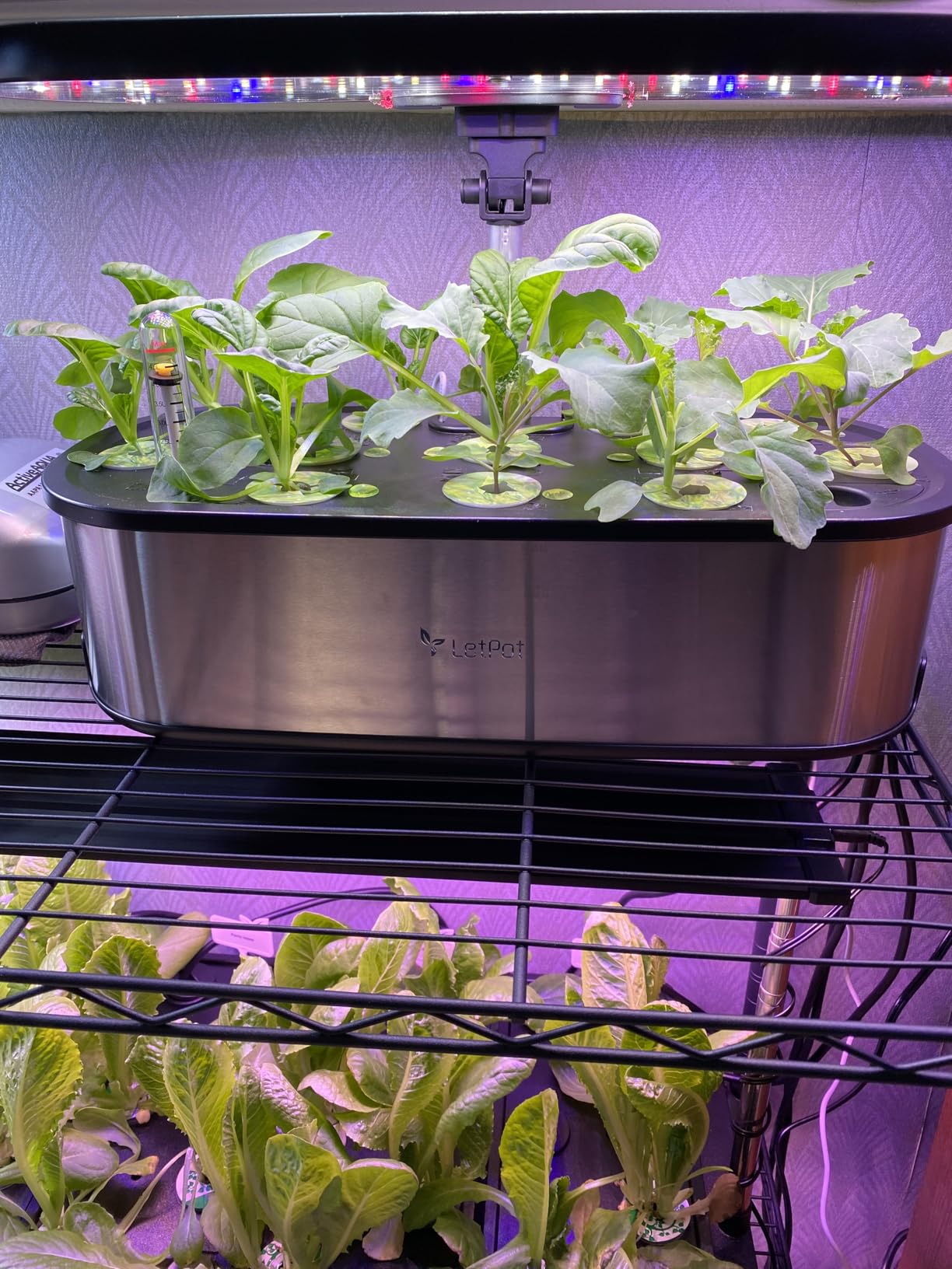 LetPot LPH-SE Hydroponics Growing System, 12 Pods Smart Herb Garden Kit Indoor, Indoor Garden, APP & WiFi Controlled, with 24W Growing LED, 5.5L Water Tank, Pump System, Automatic Timer customer photo 1