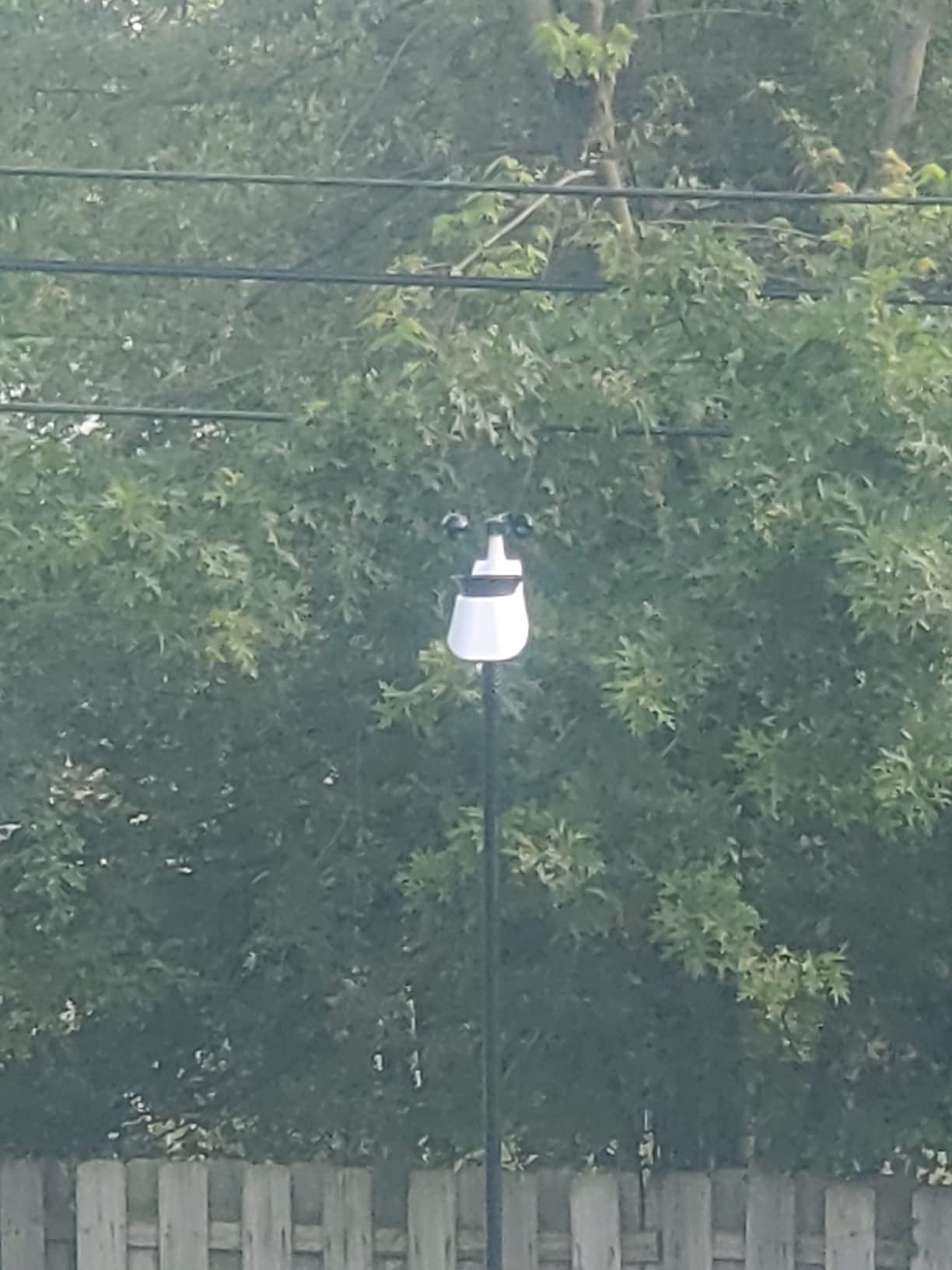 La Crosse Technology Professional Smart Wi-Fi Weather Station with Remote Monitoring (400 Foot Range), Wind and Rain Gauges, Temperature and Humidity Sensors, and Forecasting - V42-PRO-INT customer photo 1