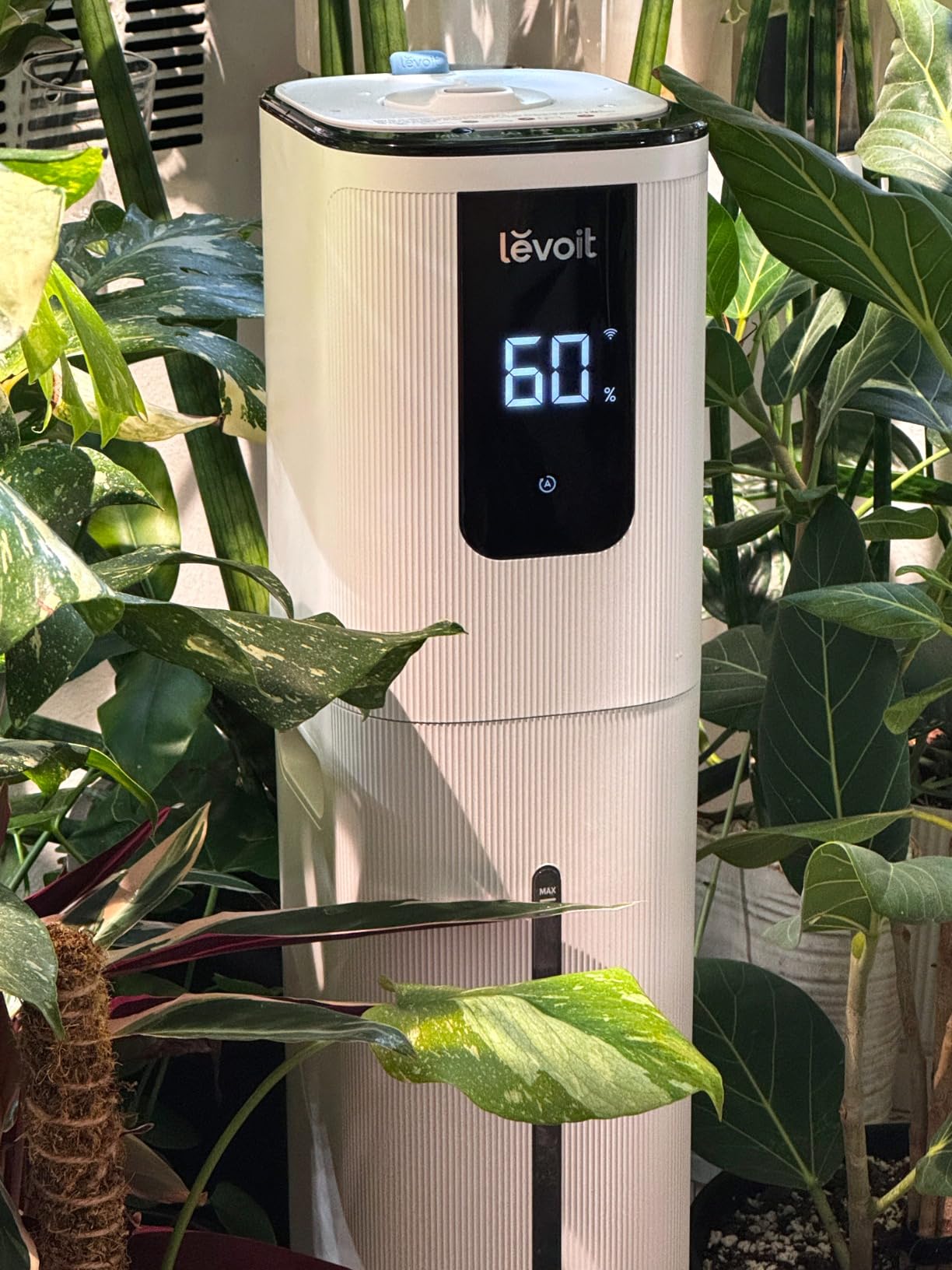 LEVOIT OasisMist 1000S (10L) Smart Humidifier for Home Large Room Bedroom, Last 100 Hours Suitable for Indoor Plant, Cover up to 600ft², Easy Top Fill, Remoter & Voice Control, Auto Mode, Quiet, White Customer Review LEVOIT OasisMist 1000S (10L) Smart Humidifier for Home Large Room Bedroom, Last 100 Hours Suitable for Indoor Plant, Cover up to 600ft², Easy Top Fill, Remoter & Voice Control, Auto Mode, Quiet, White - Customer Photo 1