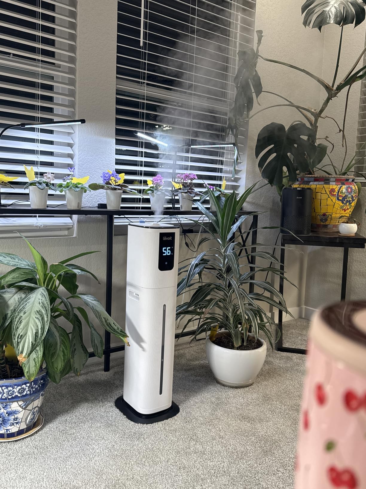 LEVOIT OasisMist 1000S (10L) Smart Humidifier for Home Large Room Bedroom, Last 100 Hours Suitable for Indoor Plant, Cover up to 600ft², Easy Top Fill, Remoter & Voice Control, Auto Mode, Quiet, White Customer Review LEVOIT OasisMist 1000S (10L) Smart Humidifier for Home Large Room Bedroom, Last 100 Hours Suitable for Indoor Plant, Cover up to 600ft², Easy Top Fill, Remoter & Voice Control, Auto Mode, Quiet, White - Customer Photo 2