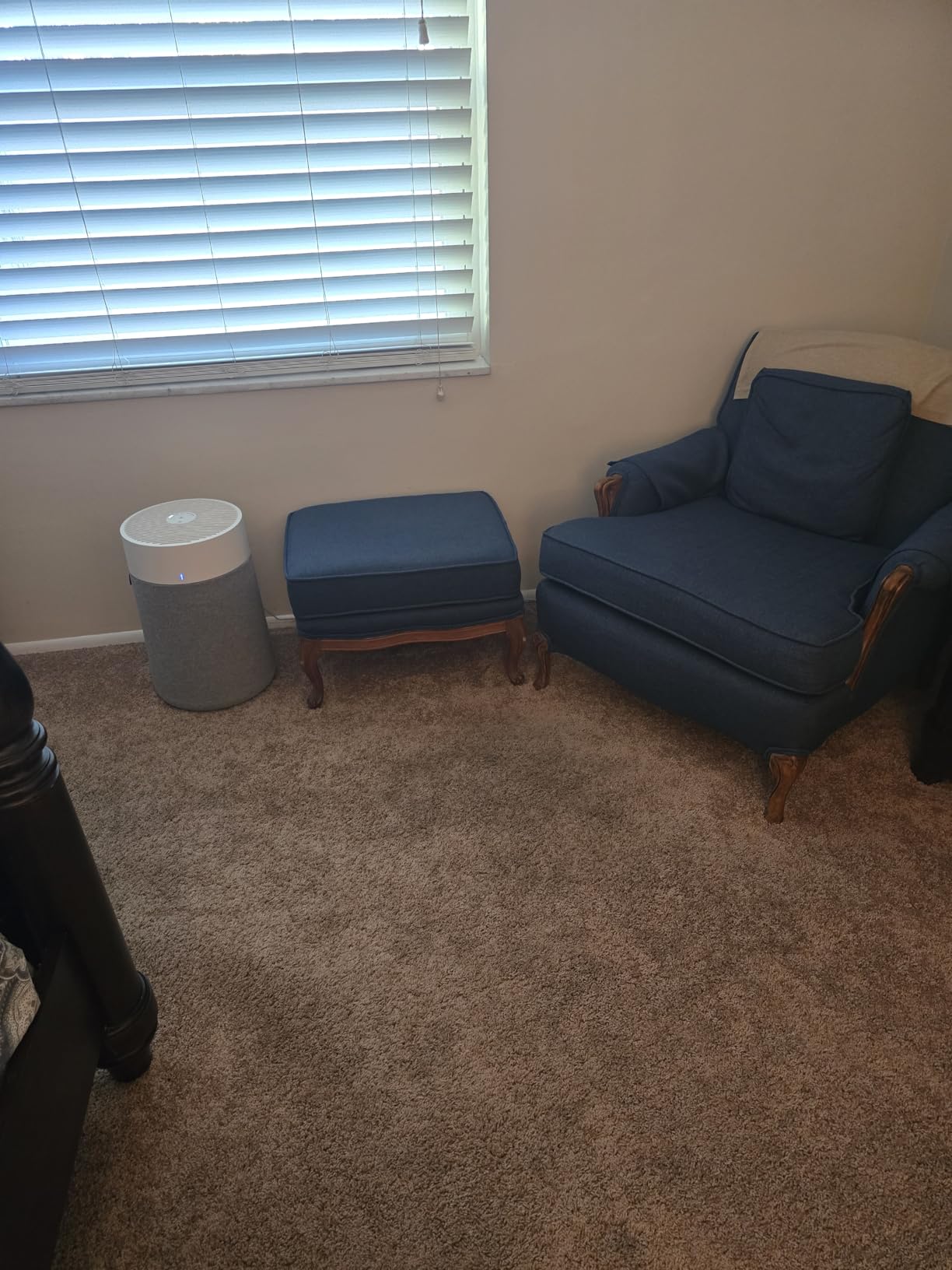 BLUEAIR Air Purifiers for Large Rooms, Cleans 3,048 Sqft In One Hour, HEPASilent Smart Air Cleaner For Home, Pets, Allergies, Virus, Dust, Mold, Smoke - Blue Pure 211i Max Customer Review BLUEAIR Air Purifiers for Large Rooms, Cleans 3,048 Sqft In One Hour, HEPASilent Smart Air Cleaner For Home, Pets, Allergies, Virus, Dust, Mold, Smoke - Blue Pure 211i Max - Customer Photo 1
