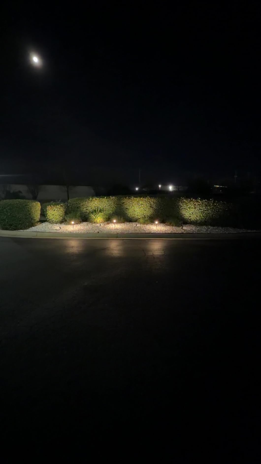 SUNVIE LED Low Voltage Landscape Lighting 12V Landscape Lighting Kit with Connectors, Low Voltage Pathway Lights with Spotlights Aluminum Pathway Lights Wired Waterproof for Patio Yard Garden, 12 Pack customer photo 1