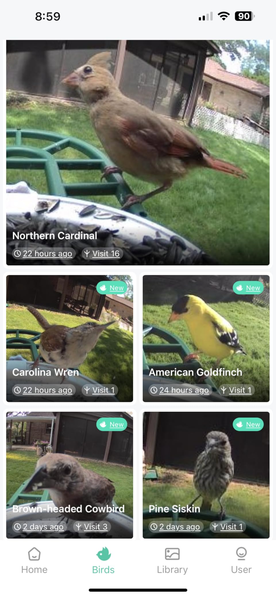 Bird Feeder with Camera with AI Identify Birds Species Solar Powered, Smart Bird House with Cam, 2K HD Video Live Stream, Instant Arrival Alerts customer photo 2