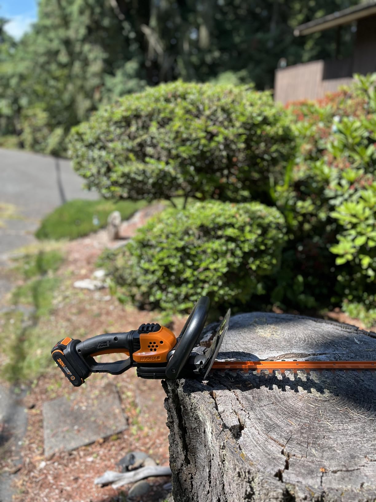 WORX Cordless Hedge Trimmer, 40V 24-Inch Bush Trimmer, WG286, Brushless Motor, 3400 SPM Dual-Action Blades, 180-Degree Rotating Handle, Two Batteries and Charger Included customer photo 1