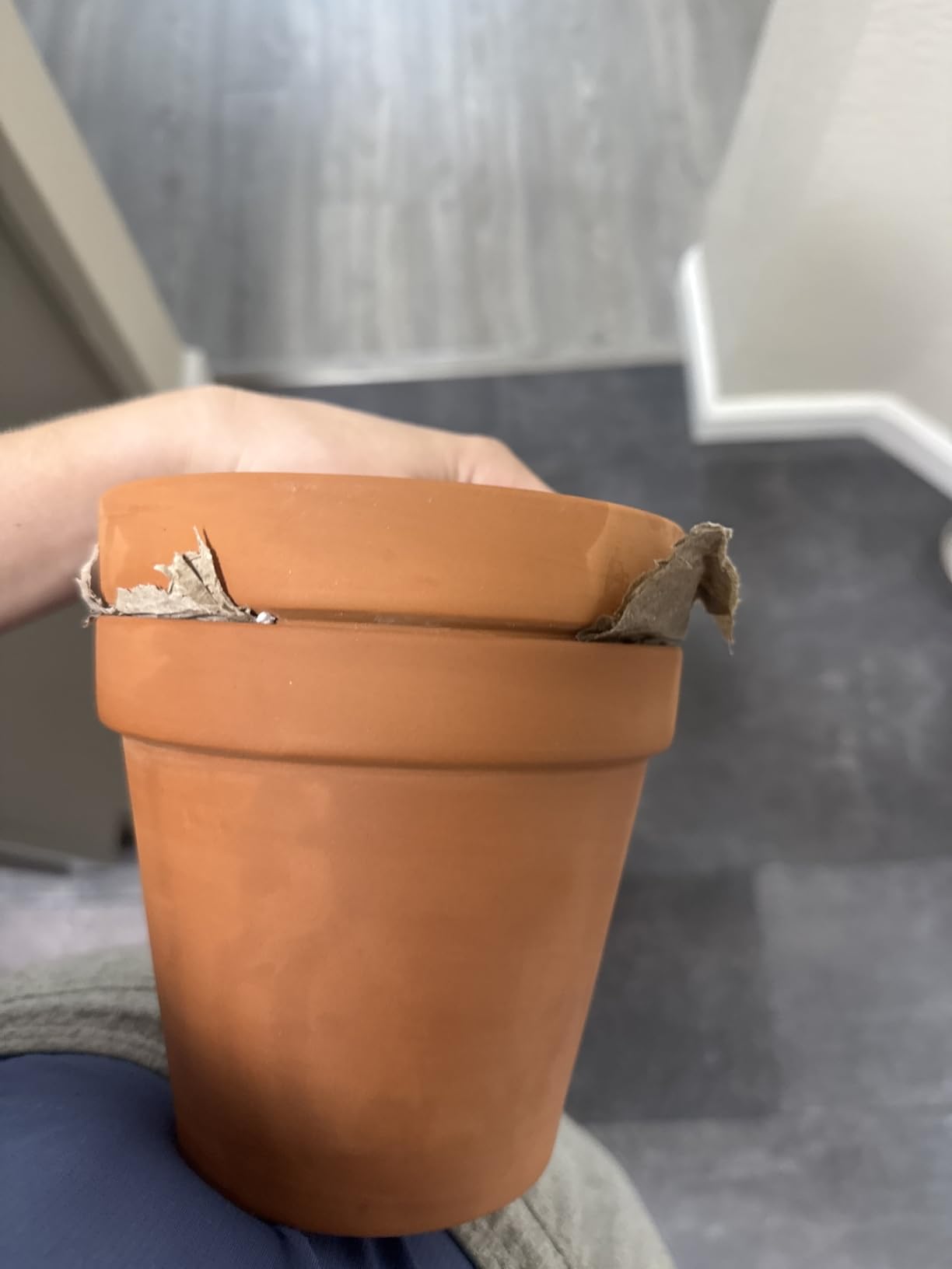 Orceler 6 inch Terracotta & Clay Pots for Plants with Saucer, Medium Terra Cotta Plant Pots with Drainage Hole, Flowerpot with Tray, Terracotta Pot for Indoor Outdoor Plant - Pack of 4 Planters customer photo 1