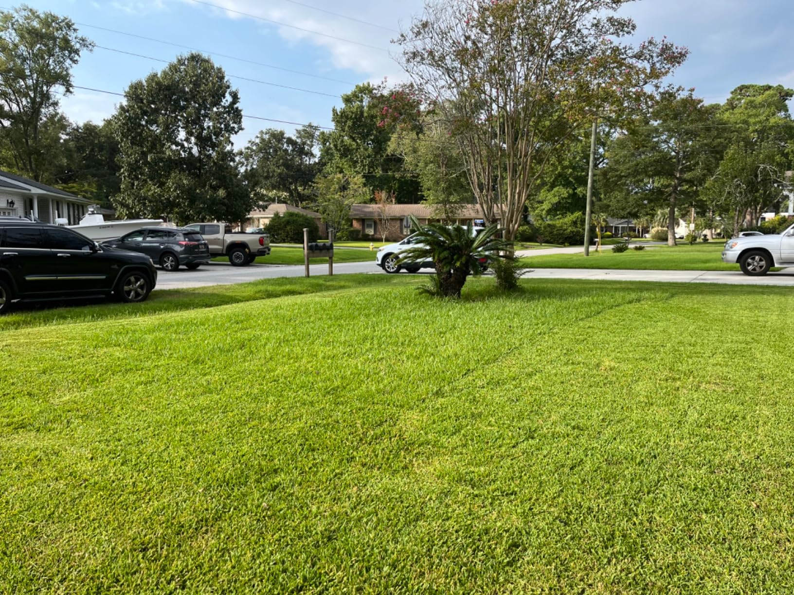 Wild Badger Power 40V 18″ Cordless Lawn Mower Brushless, 5,445 sq ft/0.125 ac, 1×4.0Ah Battery & Fast Charger, 5-Position Height, for Small-to-Medium Lawns Customer Review Wild Badger Power 40V 18″ Cordless Lawn Mower Brushless, 5,445 sq ft/0.125 ac, 1×4.0Ah Battery & Fast Charger, 5-Position Height, for Small-to-Medium Lawns - Customer Photo 1