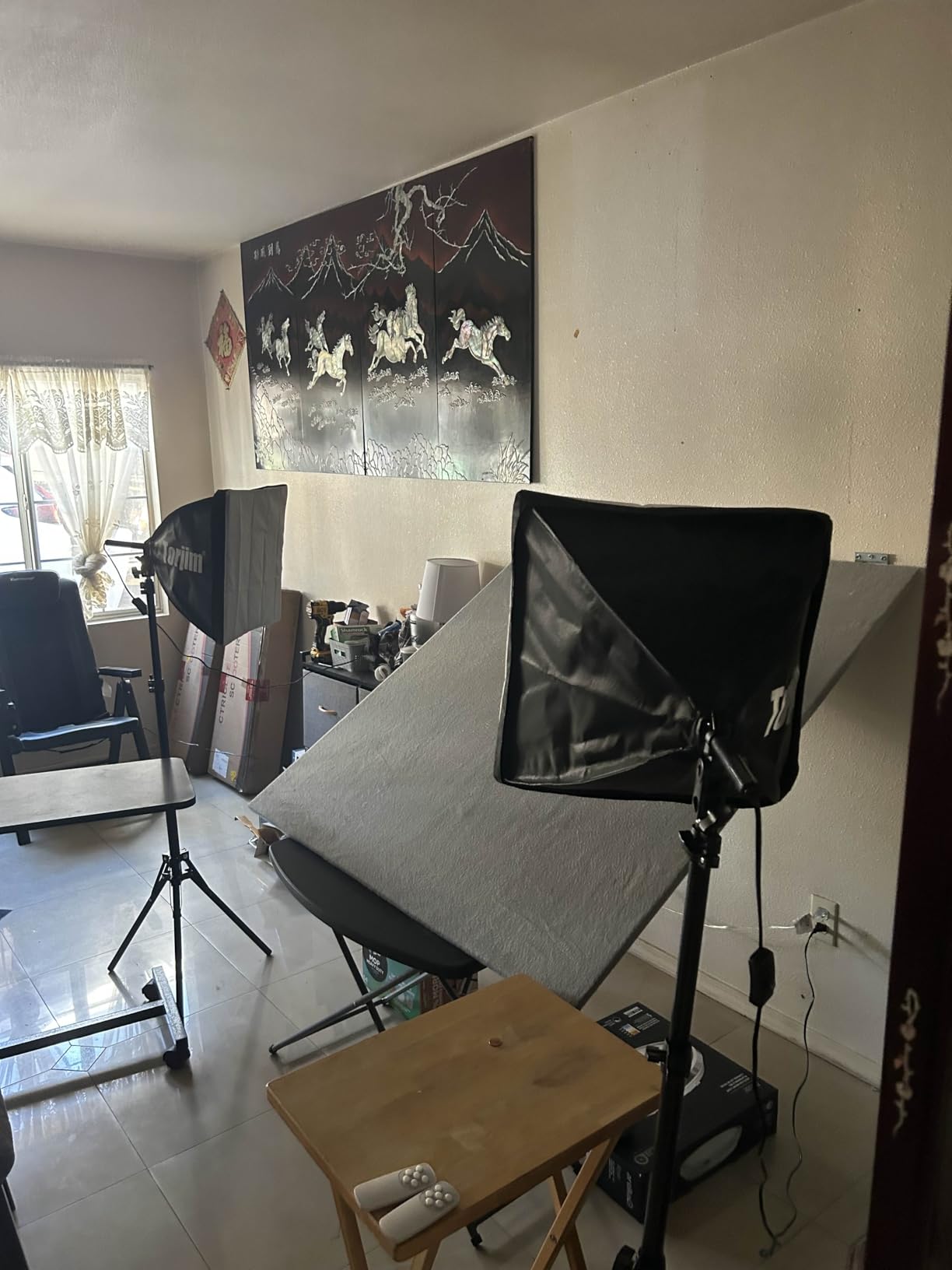 Torjim Softbox Photography Lighting Kit, 16'' x 16'' Professional Softbox Lighting Kit with 85W 3000-7500K LED Bulbs, Studio Lights for Photography/Video Recording/Live Streaming/Portraits Shooting Customer Review Torjim Softbox Photography Lighting Kit, 16'' x 16'' Professional Softbox Lighting Kit with 85W 3000-7500K LED Bulbs, Studio Lights for Photography/Video Recording/Live Streaming/Portraits Shooting - Customer Photo 4