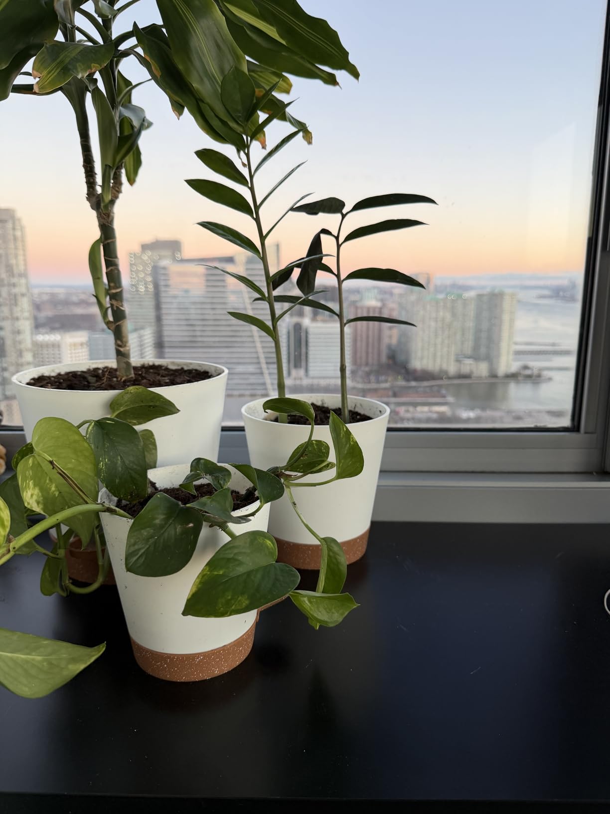 YNNICO Indoor Self Watering Planters with Drainage Holes and Saucers, 8, 7, 6.5, 6, 5.5, 5 Inches, Black, 6 Pots customer photo 1