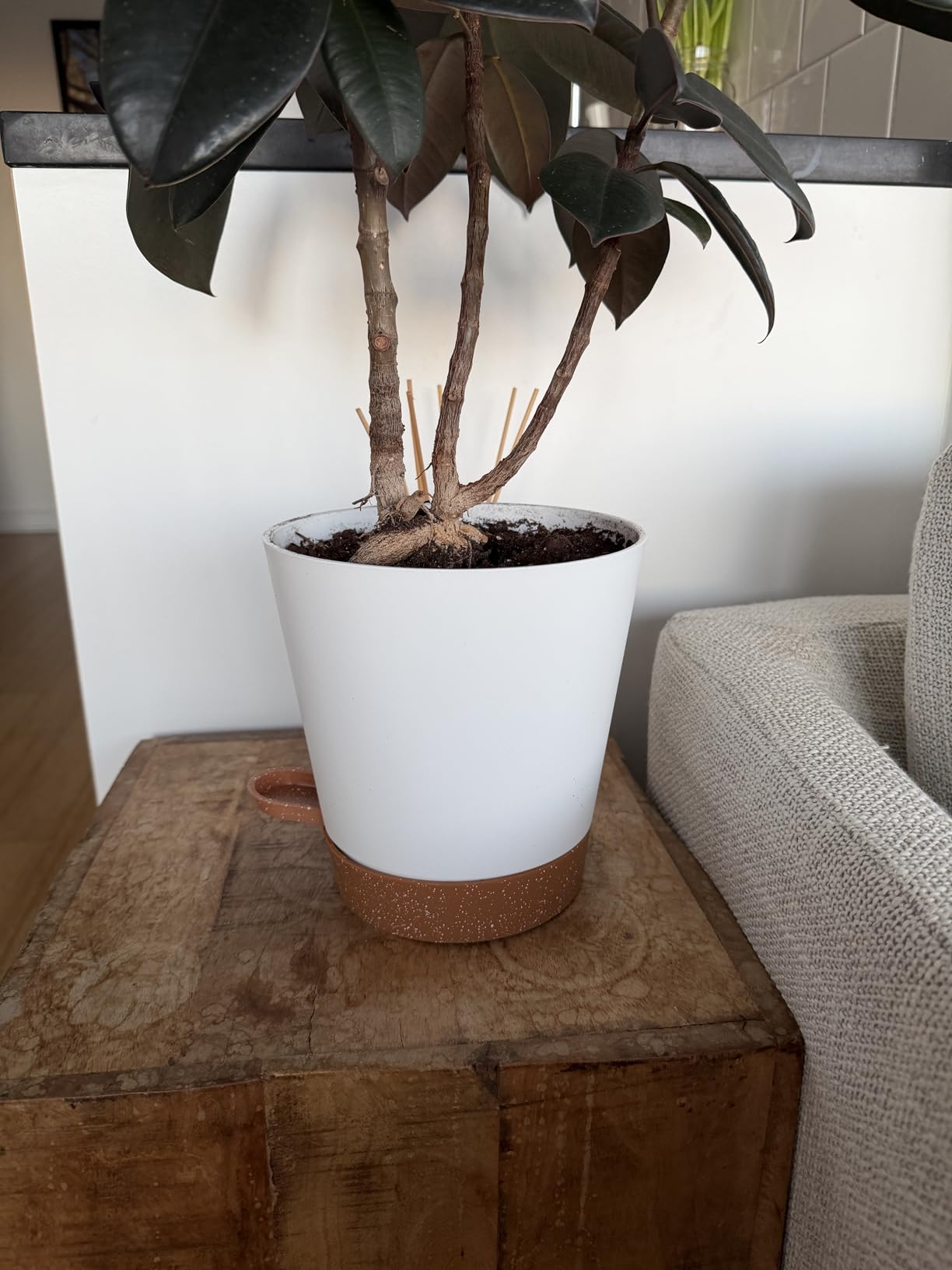 YNNICO Indoor Self Watering Planters with Drainage Holes and Saucers, 8, 7, 6.5, 6, 5.5, 5 Inches, Black, 6 Pots customer photo 2