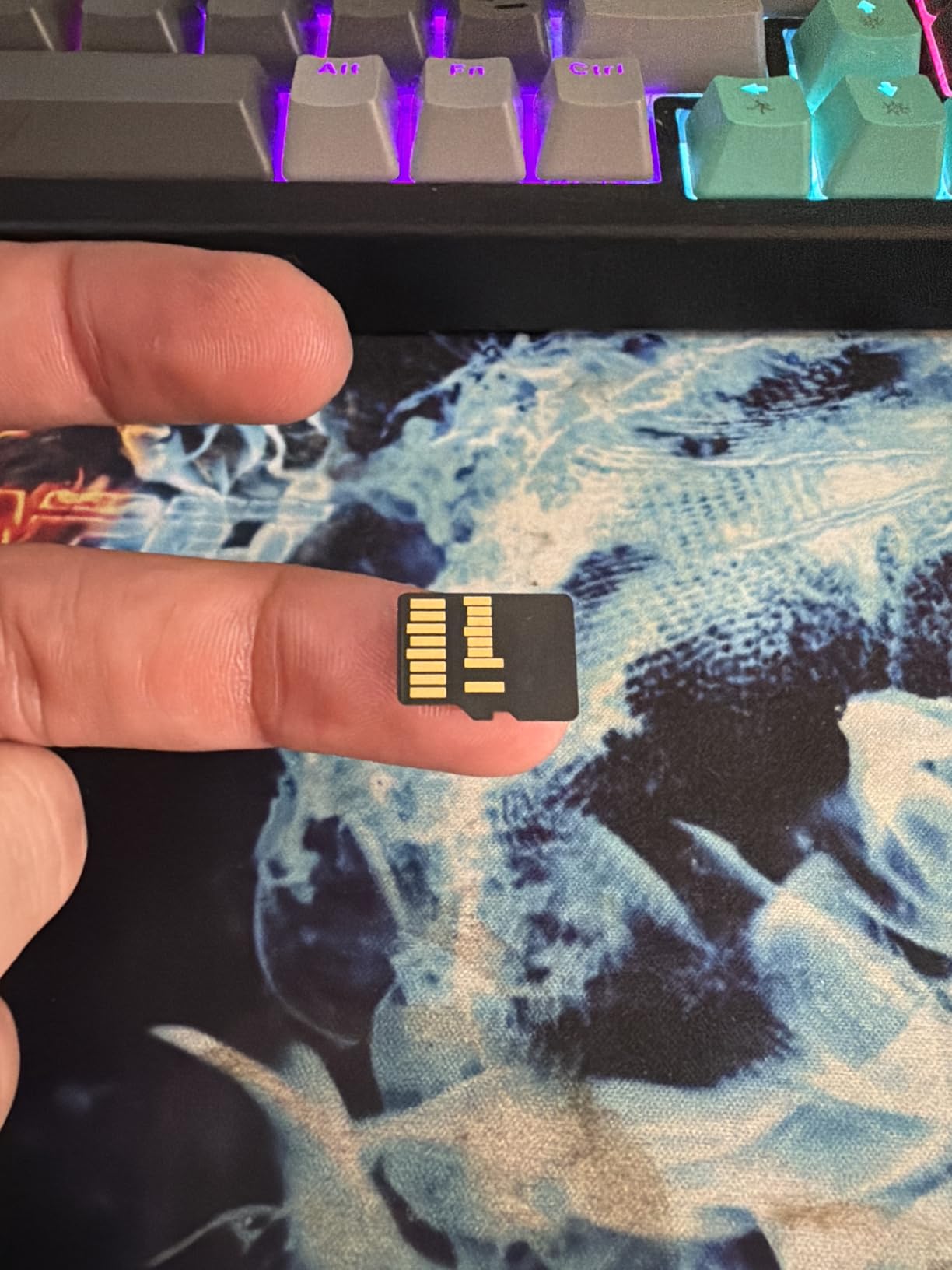 Lexar 256GB Professional Gold Micro SD Card, UHS-II, C10, U3, V60, A1, Full HD, 4K, Up to 280/180 MB/s microSDXC Memory Card, for Drones, Action Cameras, Portable Gaming Devices - LMSGOLD256G-BNNNG - Customer Photo 1