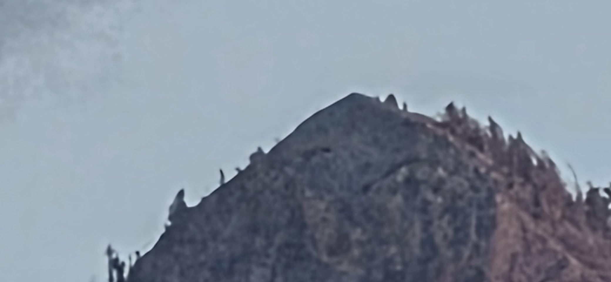 Canon RF200-800mm F6.3-9 is USM Super-telephoto Zoom Lens, Mirrorless - Customer Photo 2