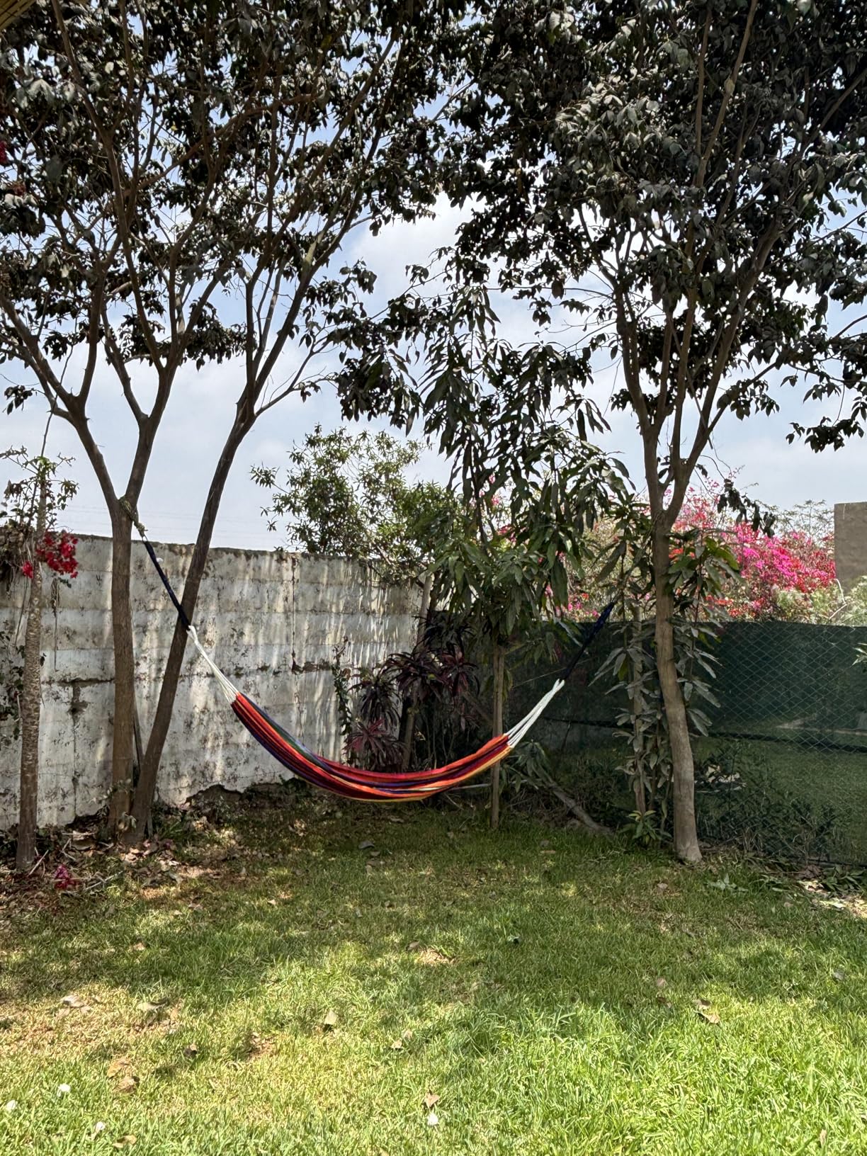 CHULIM Brazilian Double Hammock with Tree Straps,Extra Large 94x63IN,2 Persons Hammock for Backyard Patio Outdoor and Indoor,450lbs Weight Capacity,Soft Woven Cotton Fabric - Blue Stripe Customer Review CHULIM Brazilian Double Hammock with Tree Straps,Extra Large 94x63IN,2 Persons Hammock for Backyard Patio Outdoor and Indoor,450lbs Weight Capacity,Soft Woven Cotton Fabric - Blue Stripe - Customer Photo 1