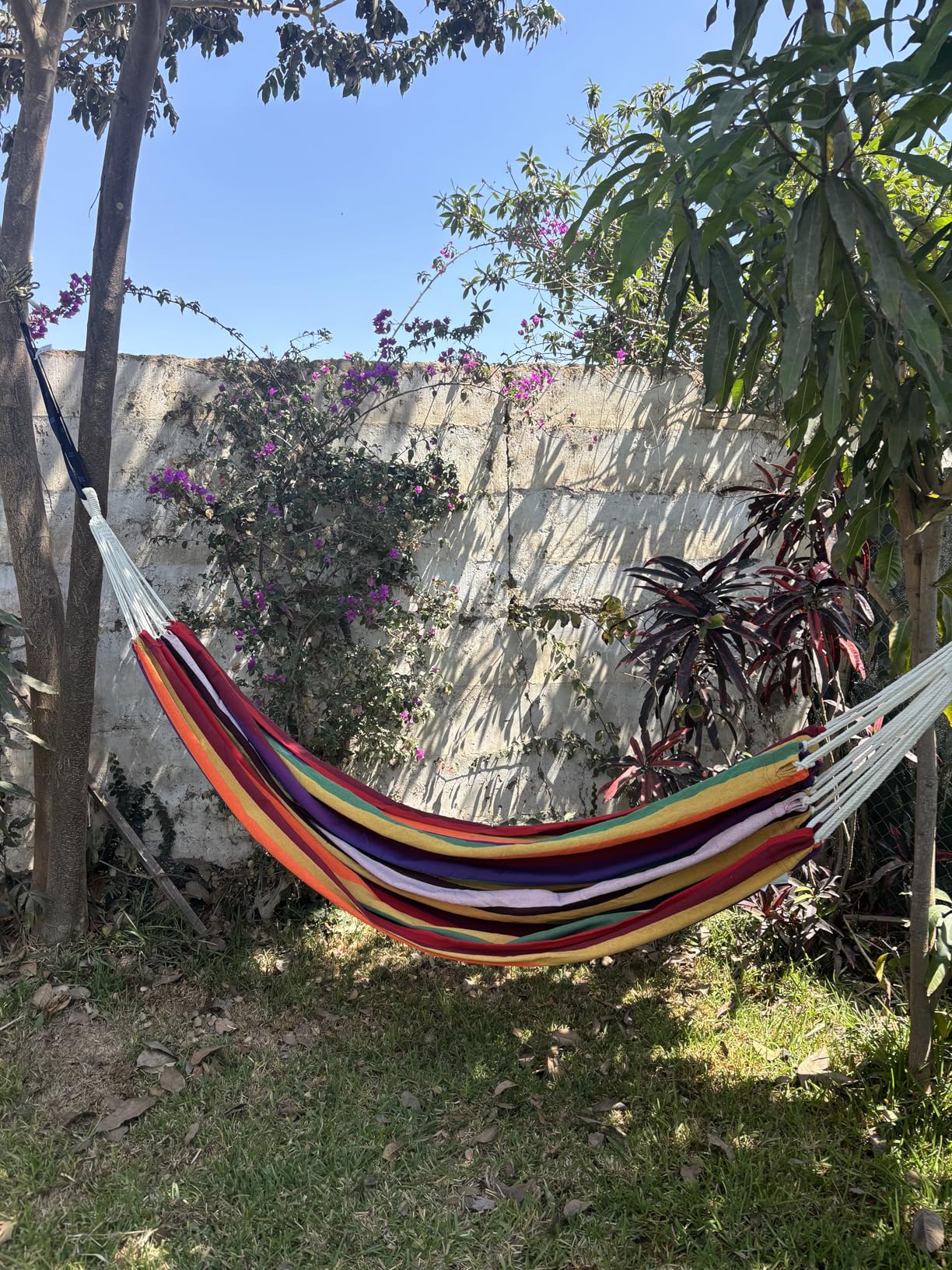 CHULIM Brazilian Double Hammock with Tree Straps,Extra Large 94x63IN,2 Persons Hammock for Backyard Patio Outdoor and Indoor,450lbs Weight Capacity,Soft Woven Cotton Fabric - Blue Stripe Customer Review CHULIM Brazilian Double Hammock with Tree Straps,Extra Large 94x63IN,2 Persons Hammock for Backyard Patio Outdoor and Indoor,450lbs Weight Capacity,Soft Woven Cotton Fabric - Blue Stripe - Customer Photo 2