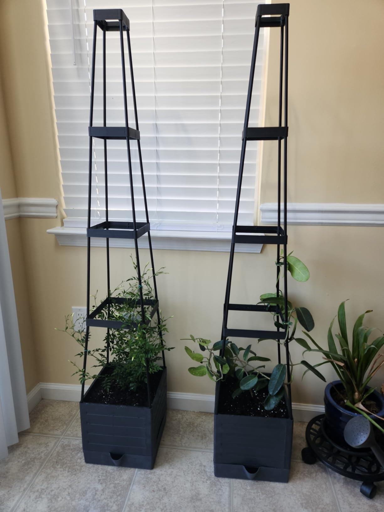 2-Pack Tomato Planter with Trellis, 57