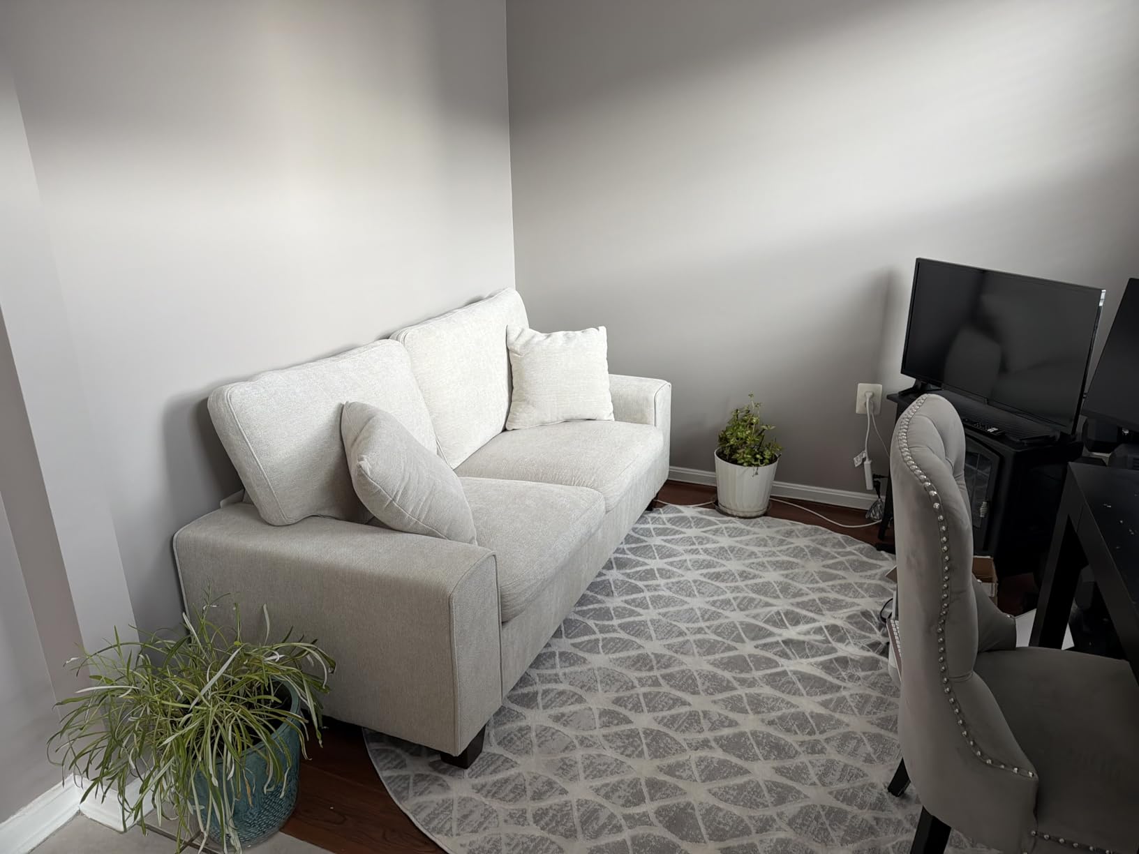 DOPEDIO Modern Loveseat Sofa for Living Room, Chenille Recliner, Removable Cover, Spring Cushions, Solid Wood Frame Customer Review DOPEDIO Modern Loveseat Sofa for Living Room, Chenille Recliner, Removable Cover, Spring Cushions, Solid Wood Frame - Customer Photo 2