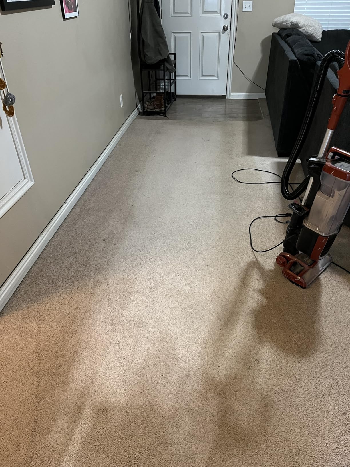 Shark CarpetXpert Upright Carpet & Area Rug Cleaner, Perfect for Pets, Lightweight & Powerful, Dirt, Grime, & Odor Removal, Carpet Shampooer, Cleaning Solution, Blue, EX121BRN Customer Review Shark CarpetXpert Upright Carpet & Area Rug Cleaner, Perfect for Pets, Lightweight & Powerful, Dirt, Grime, & Odor Removal, Carpet Shampooer, Cleaning Solution, Blue, EX121BRN - Customer Photo 1