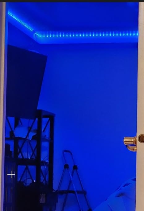 WiZ Connected 16.4 ft LED Light Strip For Your Smart Home, Flowing Multicolor LED Lights, Color-Changing RGBIC Lighting, Cuttable, Voice/App Control, Works with Google Home, Alexa and HomeKit - Customer Photo 5