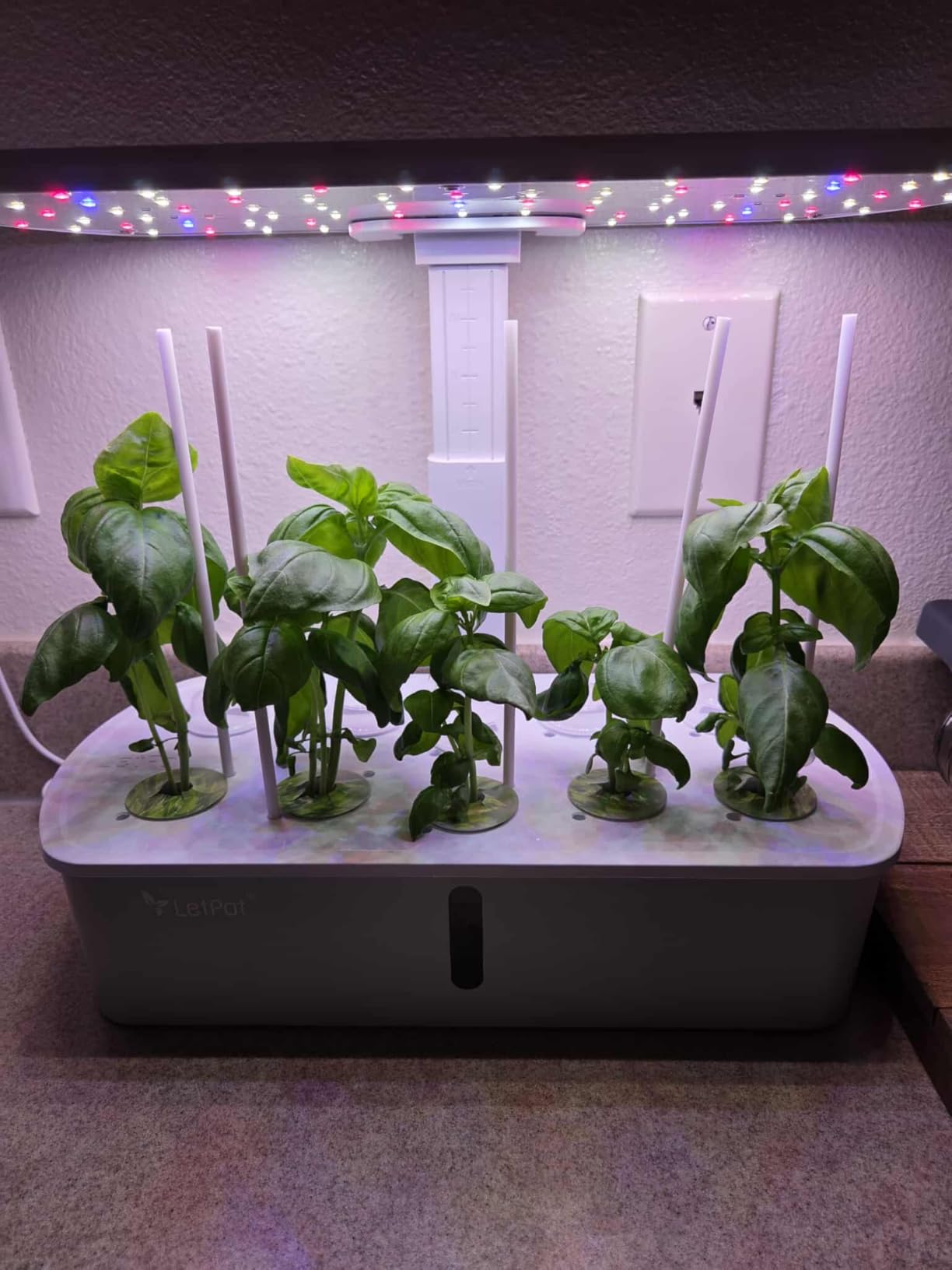 LetPot LPH-Air Hydroponics Growing System Kits, APP & WiFi Controlled Smart Indoor Garden with Adjustable 24W Grow Light Full Spectrum, 10 Pods Planter Indoor Gardening for Gifts, Kitchen, Vegetable customer photo 1