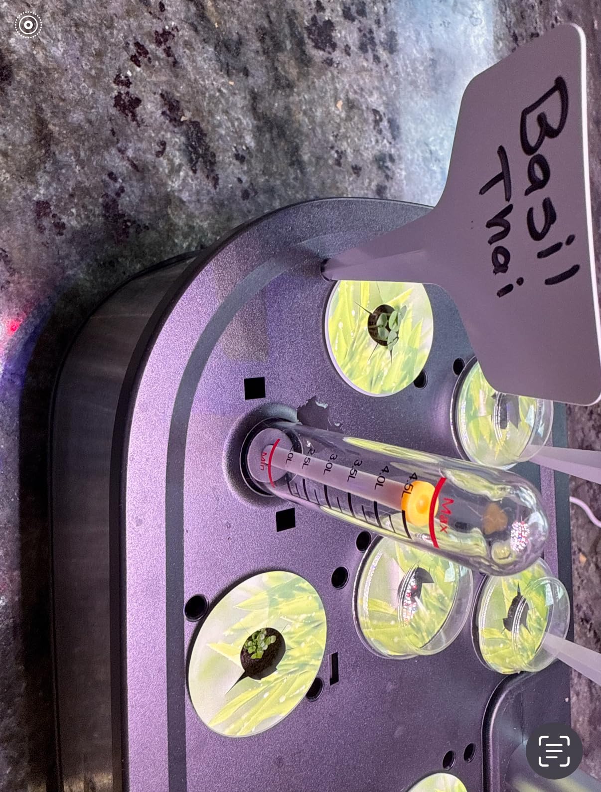 LetPot LPH-Air Hydroponics Growing System Kits, APP & WiFi Controlled Smart Indoor Garden with Adjustable 24W Grow Light Full Spectrum, 10 Pods Planter Indoor Gardening for Gifts, Kitchen, Vegetable customer photo 2