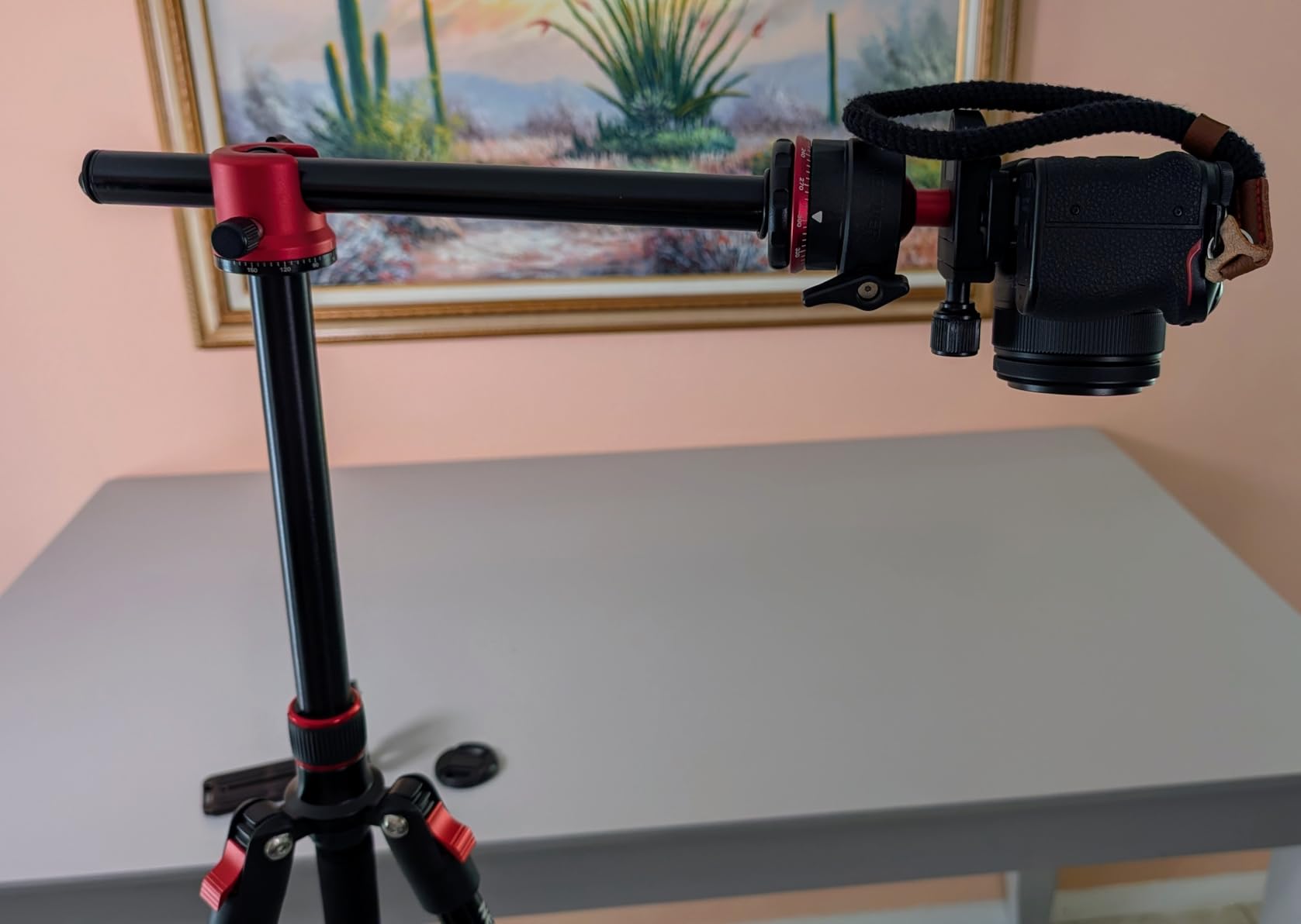 NEEWER LITETRIP LT07 61