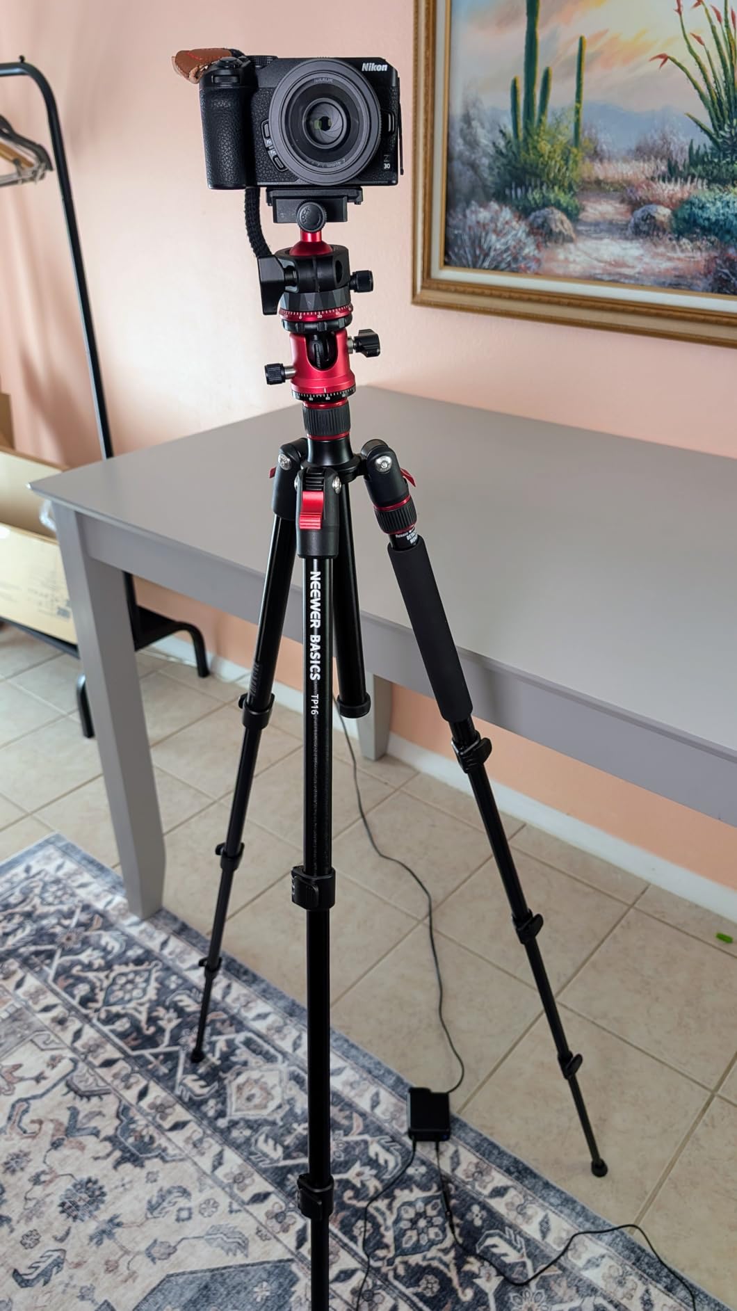 NEEWER LITETRIP LT07 61