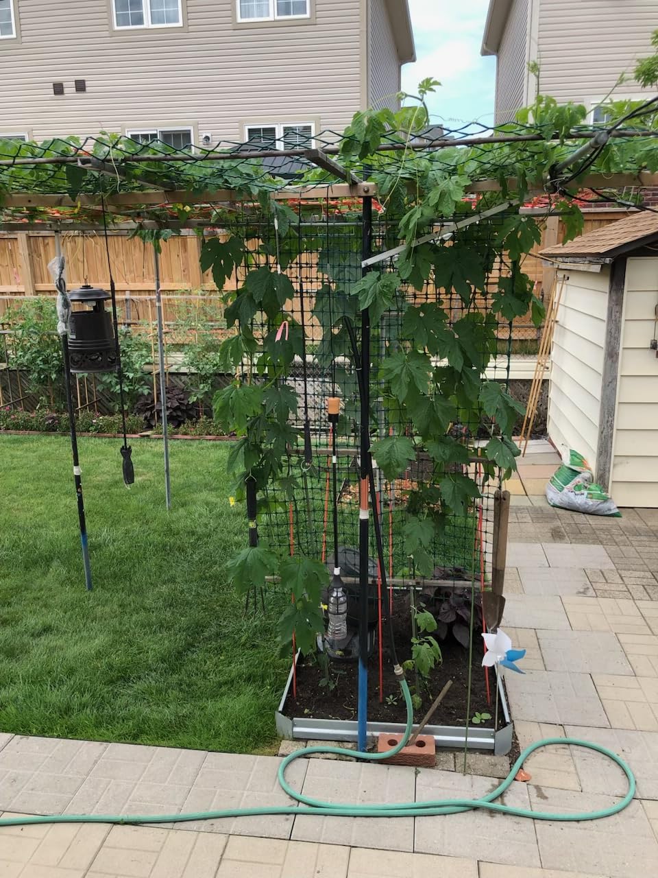 Bonviee Drip Irrigation System Kit for Garden Watering, 230FT Quick Connect customer photo 1