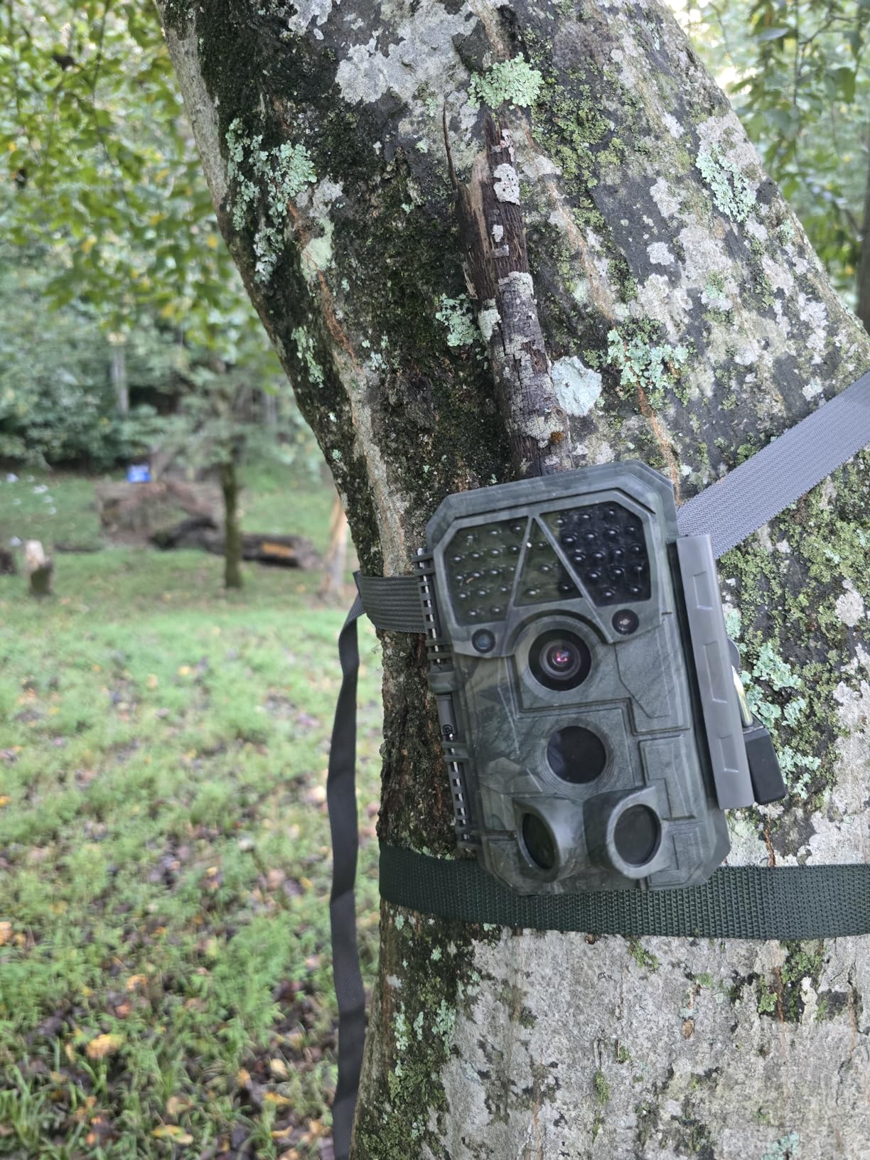 Meidase P70 (Non-Cellular,Non-WiFi) Trail Camera, 64MP 1296p, Game Cameras with No-Glow IR Night Vision, Motion Activated, Waterproof for Wildlife Deer Cams, Hunting Customer Review Meidase P70 (Non-Cellular,Non-WiFi) Trail Camera, 64MP 1296p, Game Cameras with No-Glow IR Night Vision, Motion Activated, Waterproof for Wildlife Deer Cams, Hunting - Customer Photo 1
