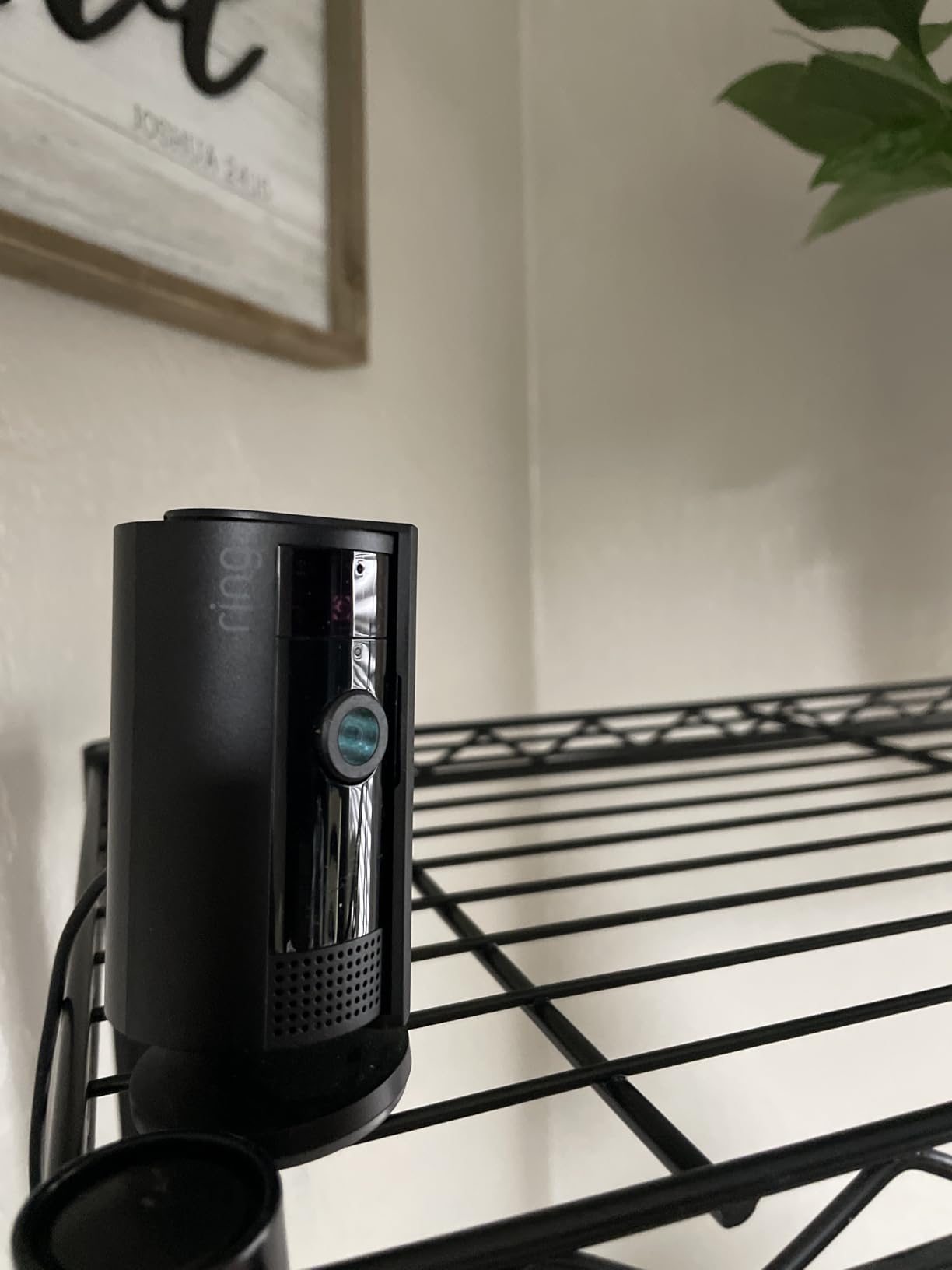 Ring Battery Doorbell with Ring Indoor Cam 2nd Gen (Black) customer photo 2