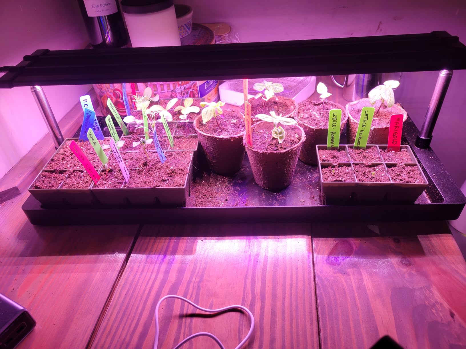Epic Gardening Seed Starting Grow Light - Full-Spectrum LED with Adjustable Height & Integrated Tray for Indoor Seedlings | Energy-Efficient, Long-Lasting Light with Timer (Standard) customer photo 1