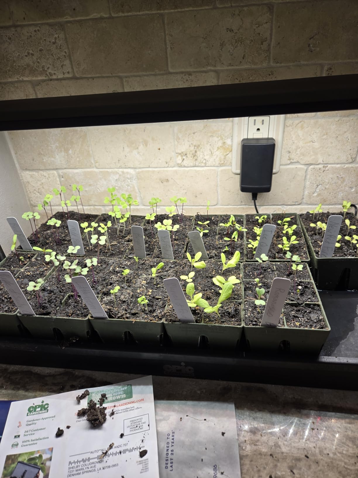 Epic Gardening Seed Starting Grow Light - Full-Spectrum LED with Adjustable Height & Integrated Tray for Indoor Seedlings | Energy-Efficient, Long-Lasting Light with Timer (Standard) customer photo 2