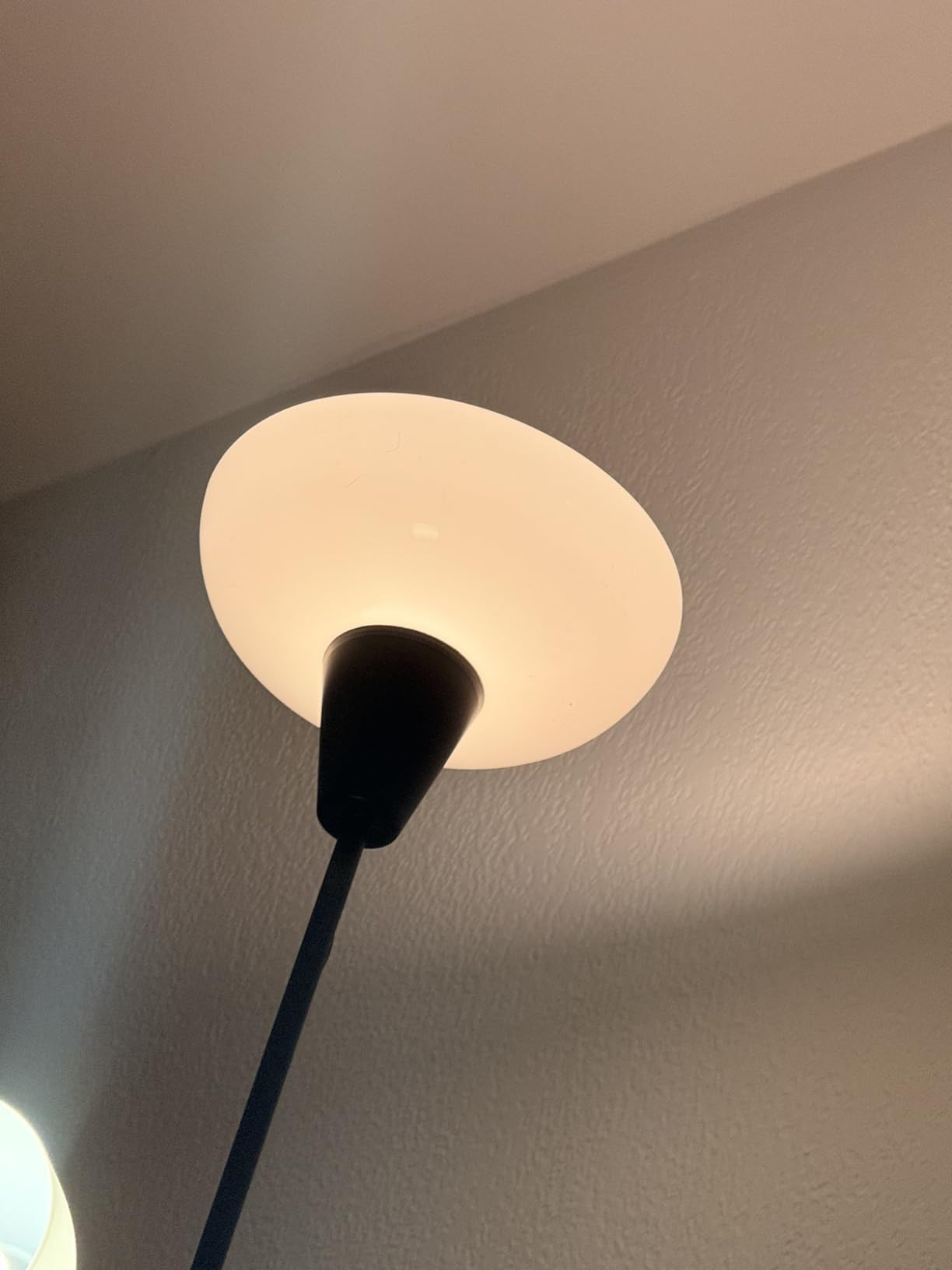 WiZ Connected A19 customer photo 1