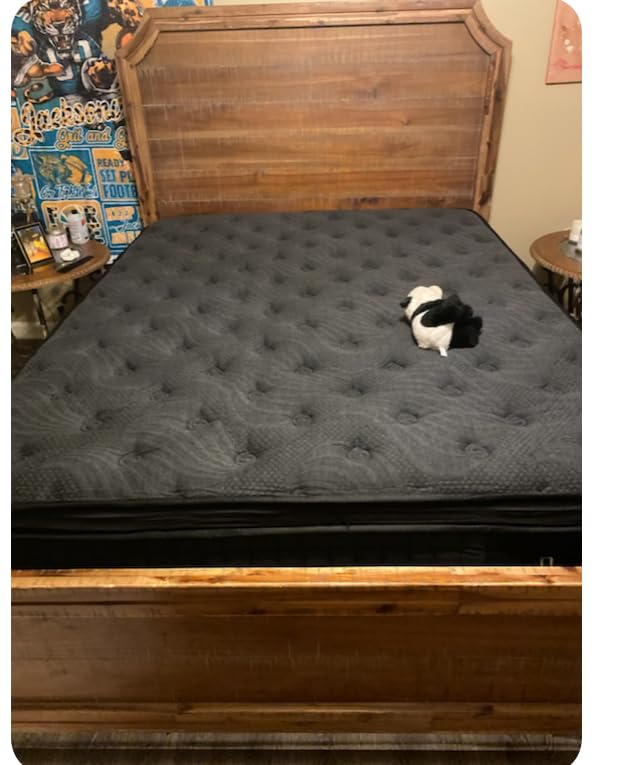 Duchessz Queen Mattress, 14 Inch Hybrid Mattresses Eurotop with Gel Memory Foam,Motion Isolation Individually Wrapped Pocket Coils Breathable Comfort Soft Pressure Relief 100 Night Trial - Customer Photo 1