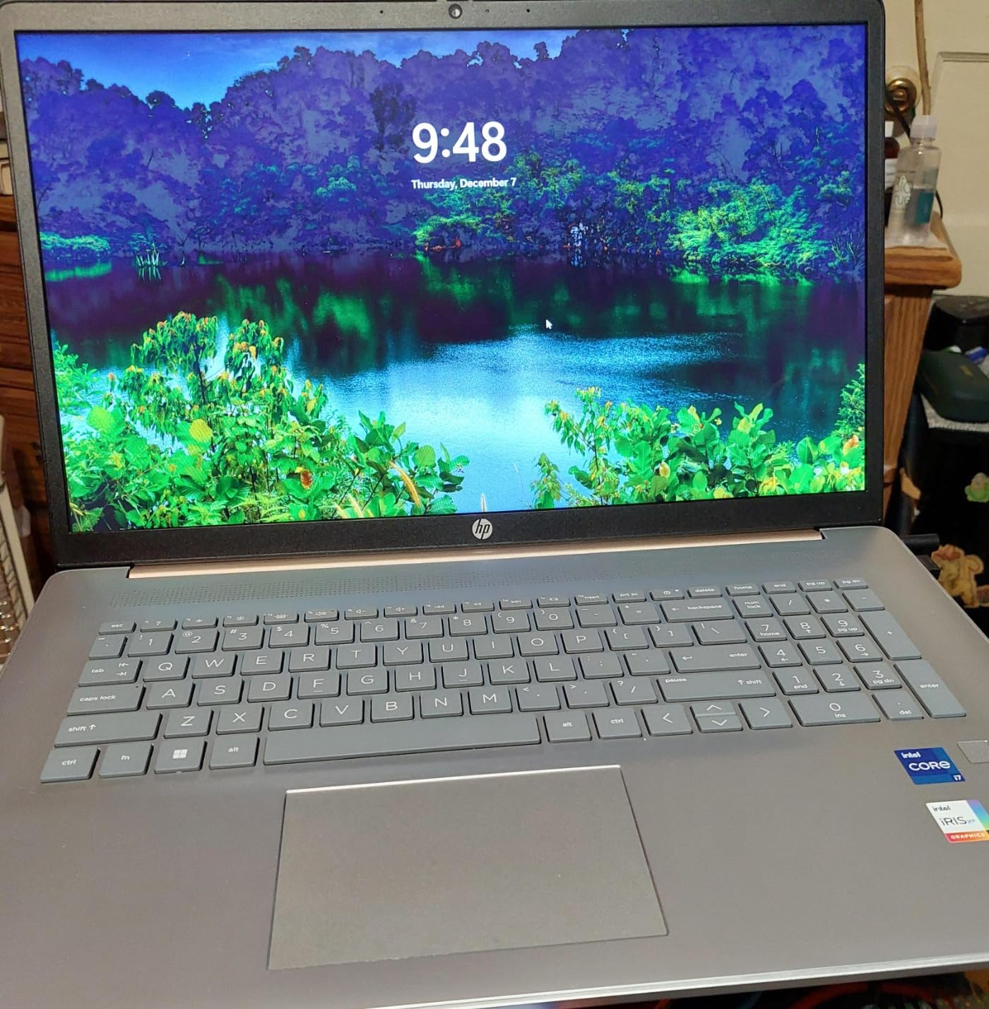 HP Premium 17.3 HP Premium 17.3