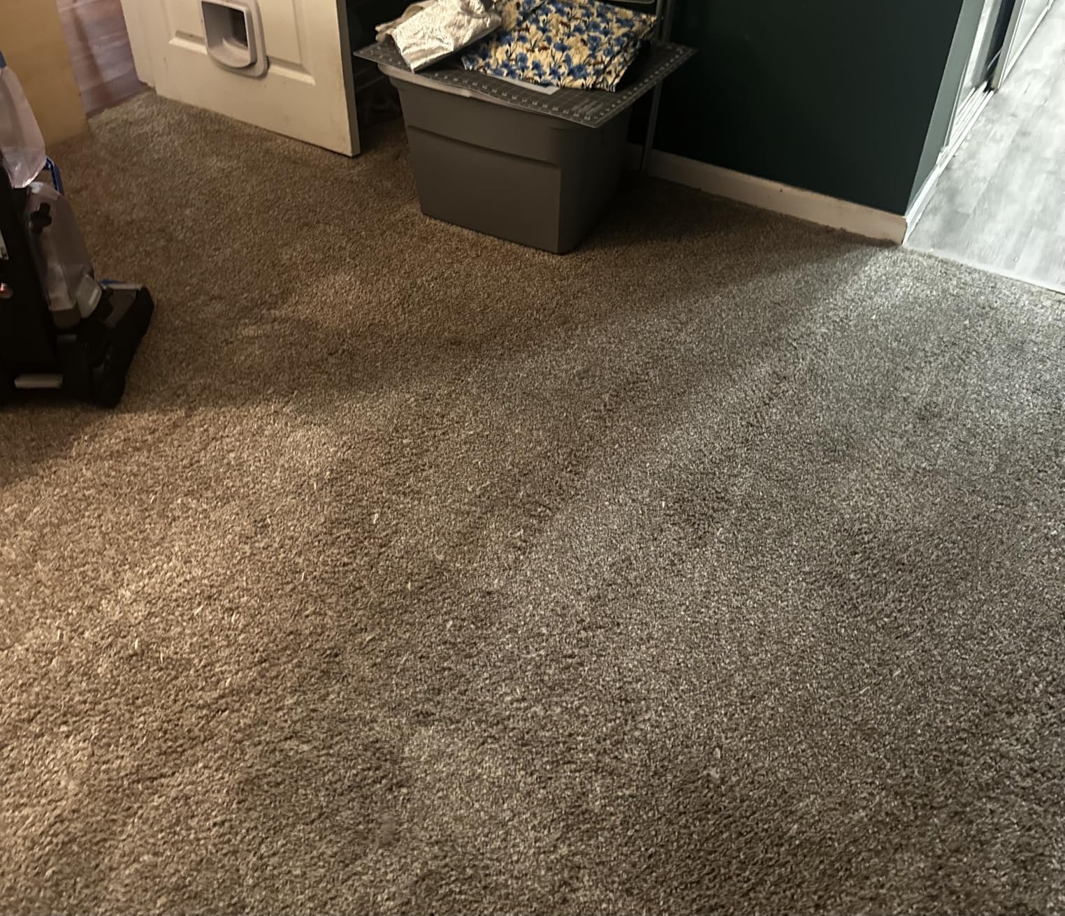 BISSELL TurboClean, Upright Carpet Cleaner, Pro Max Clean & Protect + Oxy Urine Eliminator Formula Included, 3952 Customer Review BISSELL TurboClean, Upright Carpet Cleaner, Pro Max Clean & Protect + Oxy Urine Eliminator Formula Included, 3952 - Customer Photo 1