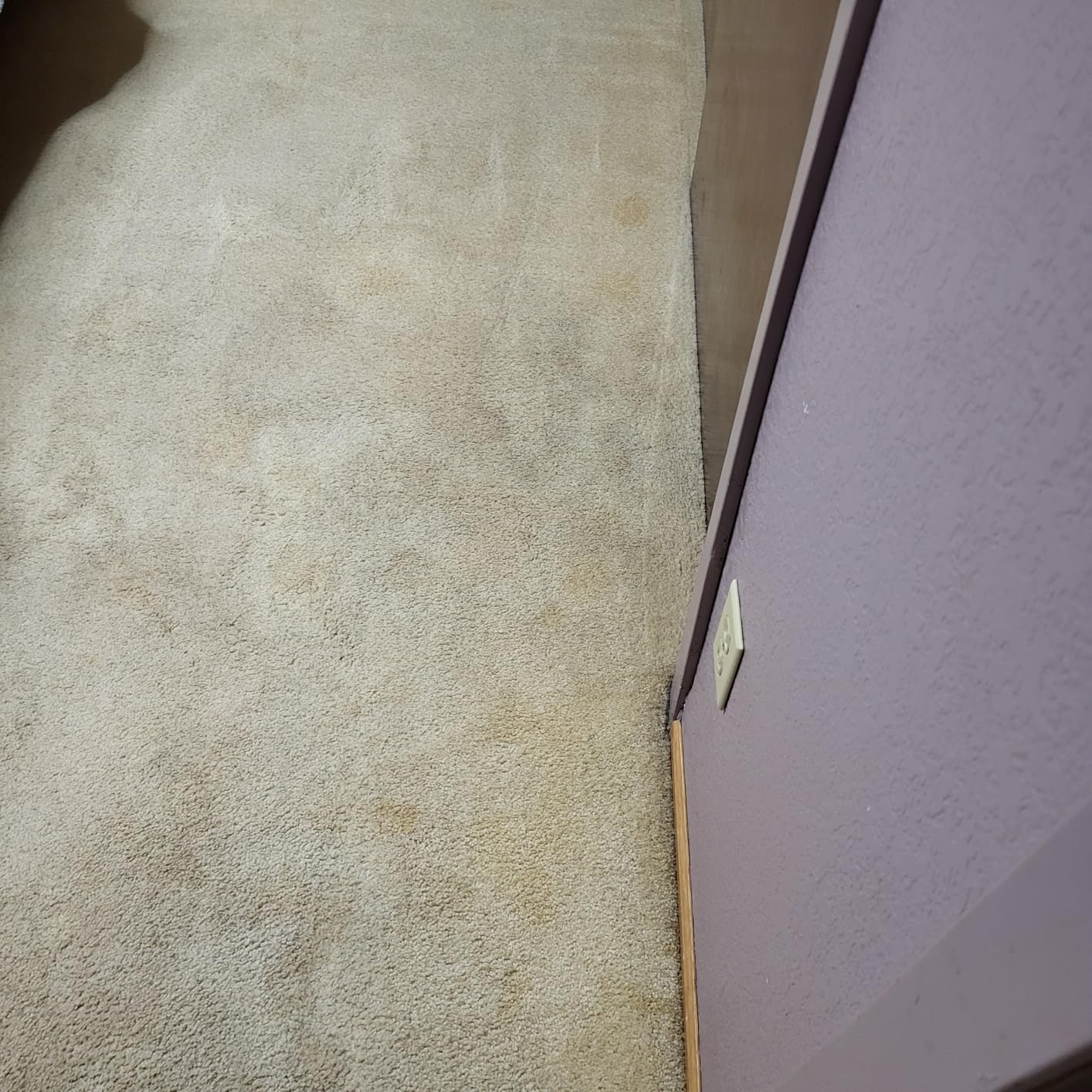 BISSELL TurboClean, Upright Carpet Cleaner, Pro Max Clean & Protect + Oxy Urine Eliminator Formula Included, 3952 Customer Review BISSELL TurboClean, Upright Carpet Cleaner, Pro Max Clean & Protect + Oxy Urine Eliminator Formula Included, 3952 - Customer Photo 2