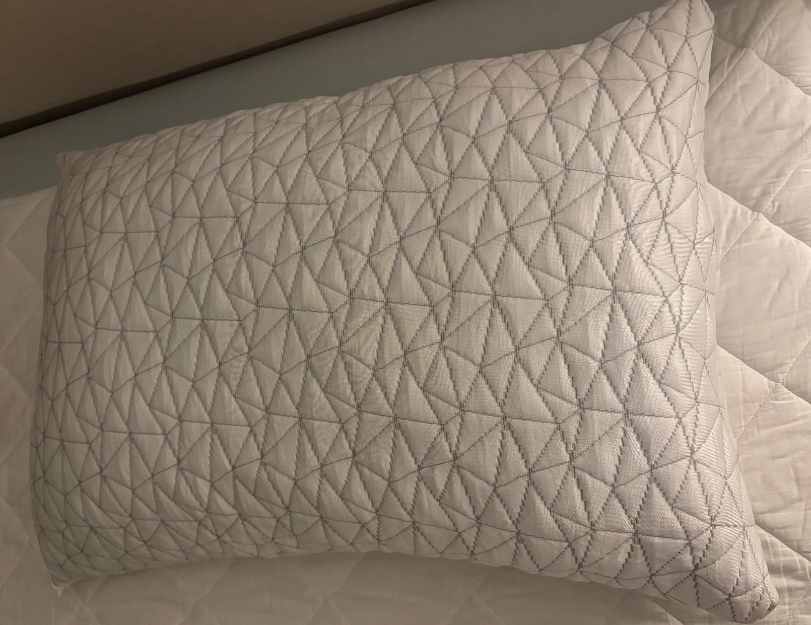 CushyOasis Shredded Memory Foam Pillows, Bed Pillows for Sleeping, Queen Size Pillows, Cooling Pillow, Stomach and Back Sleepers with Removable Washable Pillowcase Customer Review CushyOasis Shredded Memory Foam Pillows, Bed Pillows for Sleeping, Queen Size Pillows, Cooling Pillow, Stomach and Back Sleepers with Removable Washable Pillowcase - Customer Photo 1