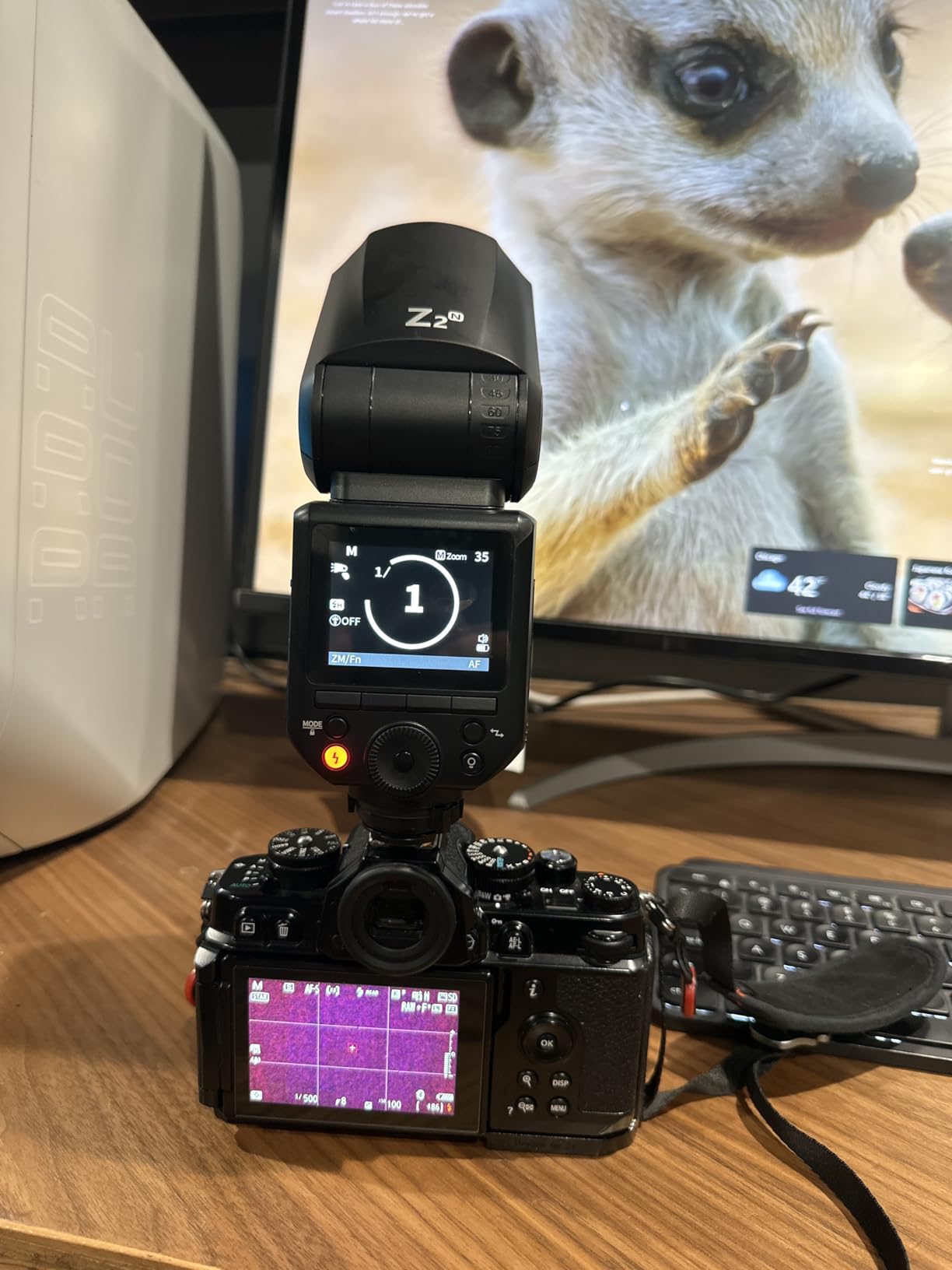 NEEWER Z2PRO-C 2.4G TTL Round Head Flash Speedlite Compatible with Canon, Wireless Compatible with Godox, Upgraded UI, 76Ws 1/8000s HSS, TTL/M TCM Switch, 7.2V/3000mAh Battery, 600 Full Power Flash - Customer Photo 4