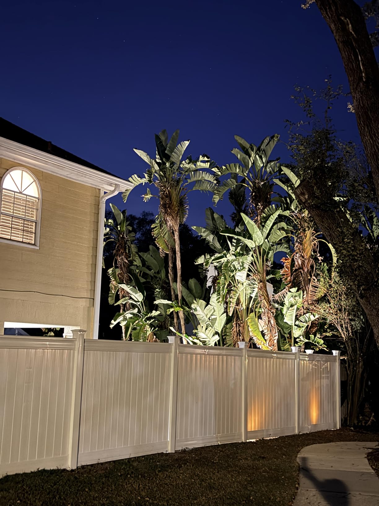 SUNVIE All-in-One LED Low Voltage Landscape Lighting Kit, 12-Pack Landscape Lights with Transformer 100FT Wire and Connectors, 3000K Waterproof Low Voltage Landscape Lights for Garden Yard House Tree customer photo 1