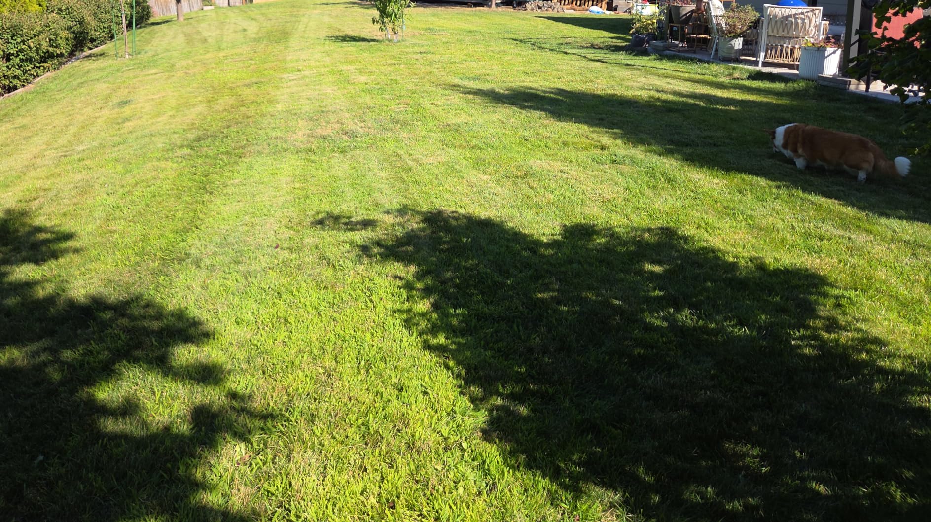 Redkey MGC1000 Robot Lawn Mower with 590ft Boundary Wires for 0.25 Acre (1/4 Acre), 45% Slope, 70Mins Runtime, Auto Recharge, Automatic Robotic Lawn Mower w/Precise Location & Breakpoint Detection Customer Review Redkey MGC1000 Robot Lawn Mower with 590ft Boundary Wires for 0.25 Acre (1/4 Acre), 45% Slope, 70Mins Runtime, Auto Recharge, Automatic Robotic Lawn Mower w/Precise Location & Breakpoint Detection - Customer Photo 2