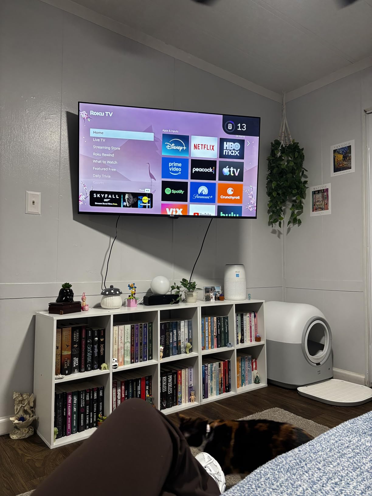 Roku Smart TV - 55-Inch Select Series, 4K HDR TV - Roku TV with Enhanced Voice Remote - Flat Screen LED Television with Wi-Fi for Streaming Live Local News, Sports, Family Entertainment customer photo 2
