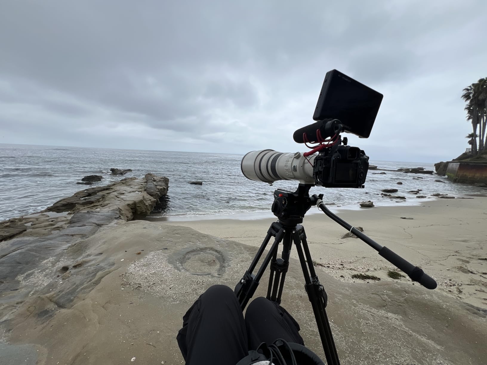 Manfrotto 055 Video Tripod w/502 Video Fluid Head, Aluminium, Professional Heavy Duty System, with Levelling Column, Lever Lock - Customer Photo 1