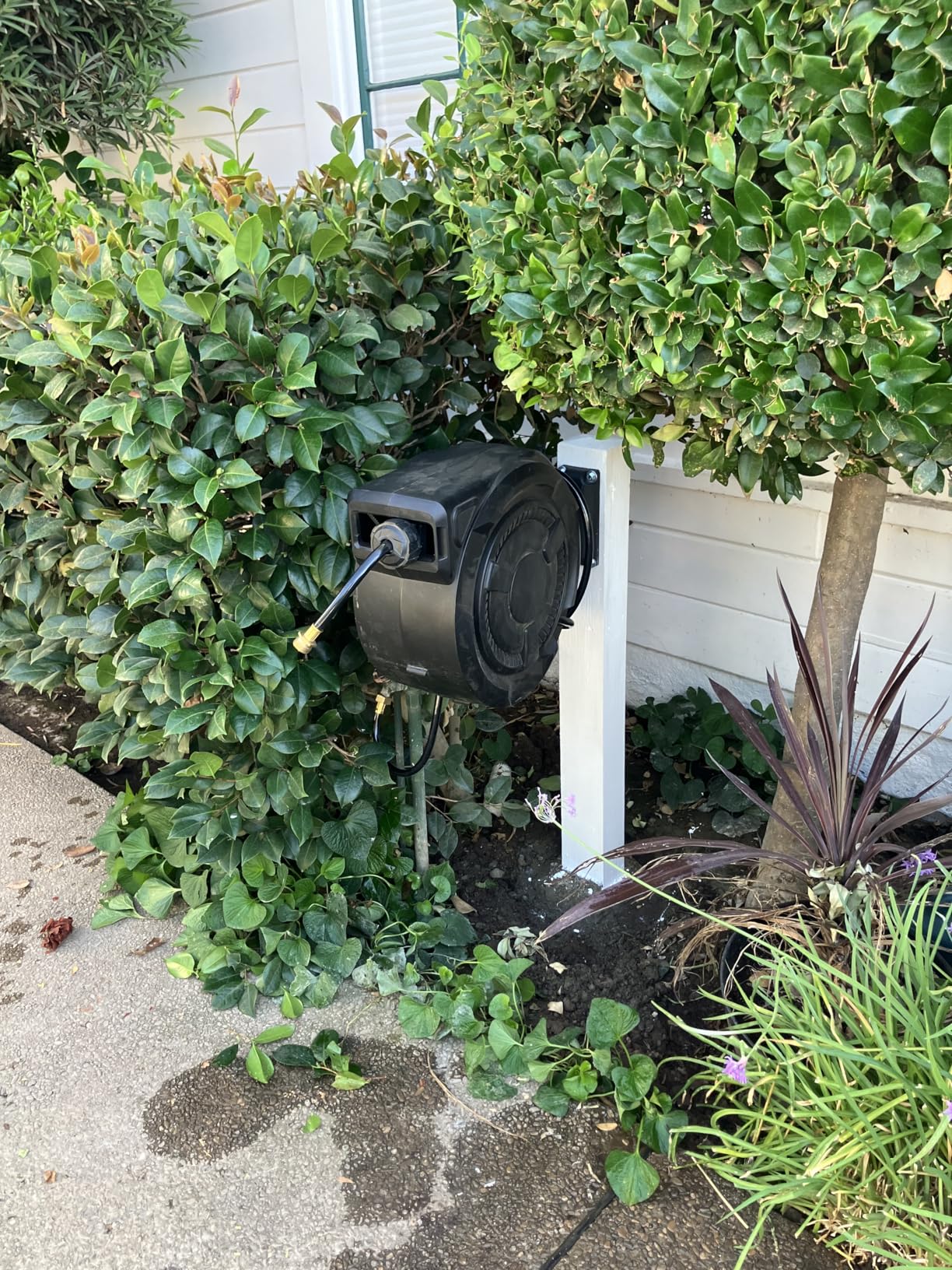 wikiwiki Retractable Garden Hose Reel 1/2 in x 100 ft, Heavy Duty Wall Mounted Hose Reel with 10- Function Sprayer Nozzle, Automatic Slow Return System/180°Swivel Bracket/UV Resistant (Black) customer photo 1