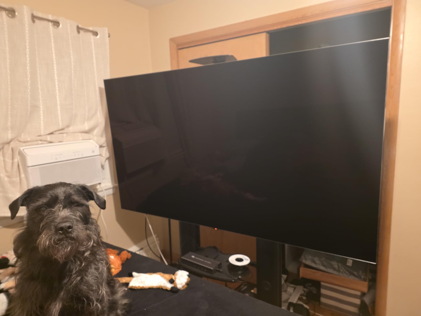 LG G5 77-Inch OLED customer photo 1