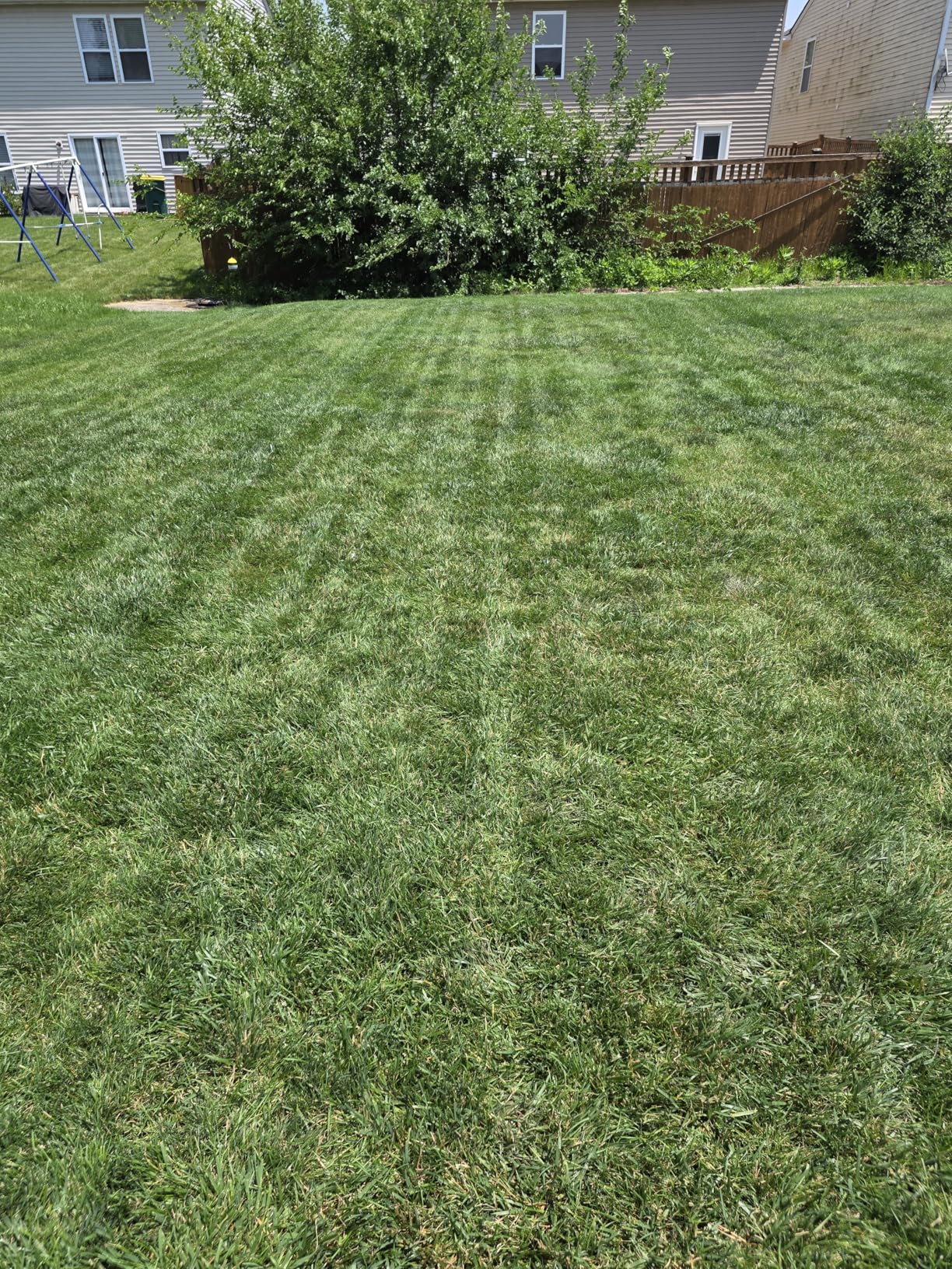Sunseeker X3 Plus Robot Lawn Mower no Wire,0.3 Acre/13,000 Sq. Ft,Smart APP Control, AI & RTK Navigation, 6 Muti-Zone, Path Planning, for Small/Medium Yards customer photo 1