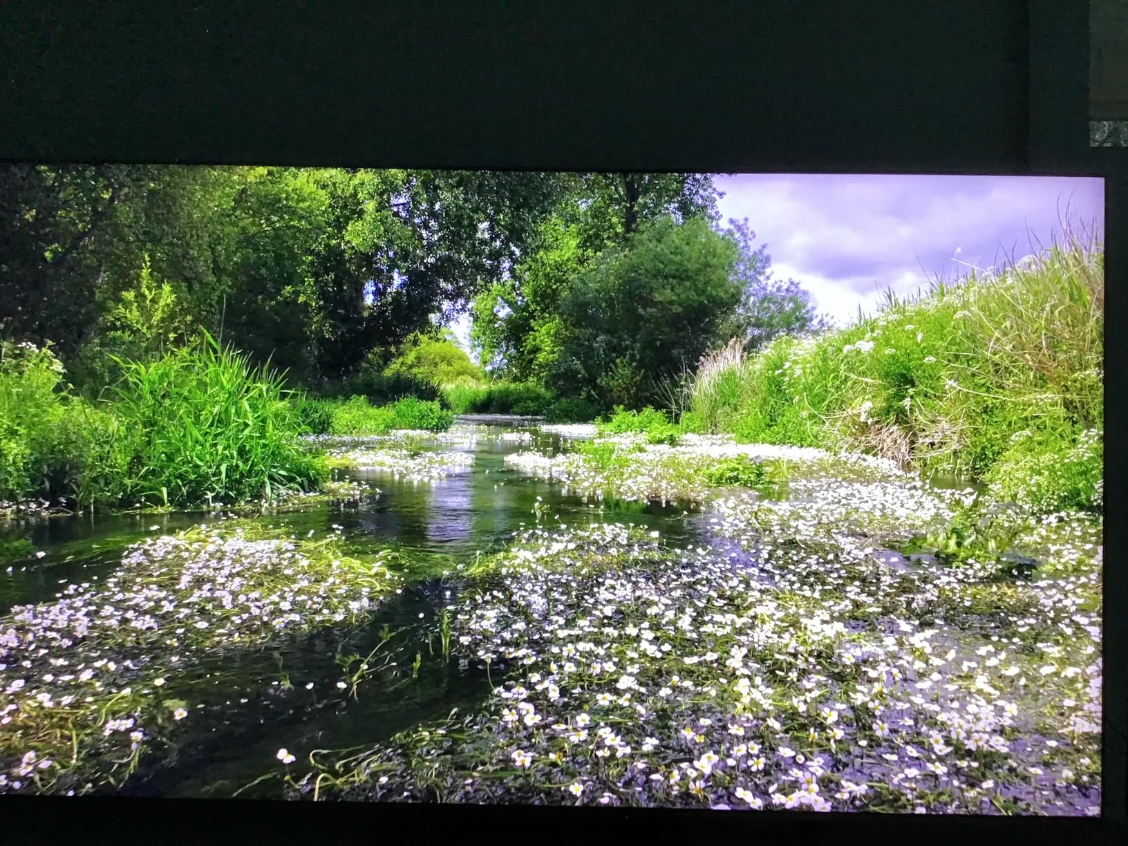 TCL 65 Inch Class QM8K Series | Mini LED QLED 4K HDR | 65QM8K, 2025 Model | 120HZ-144HZ Anti Reflective Wide Angle Screen Smart Google TV Dolby Atmos | Voice Remote Alexa Gaming Streaming Television customer photo 1